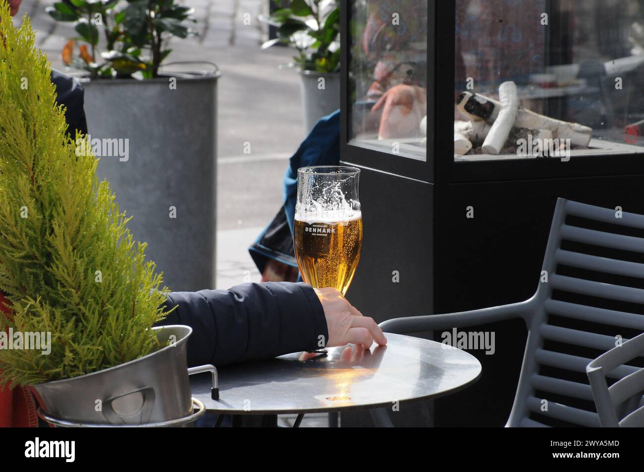 Kopenhagen, Dänemark /05 April 2024/.dänisches carlsberg-Bier in der dänischen Hauptstadt Kopenhagen. (Photo.Francis Joseph Dean/Dean Pictures) Stockfoto