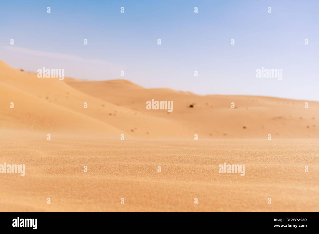 Weite Wüstensanddüne mit Hügeln und blauem Himmel. Gekörnter gelber Sand. Abstrakte Landschaftshintergründe Stockfoto