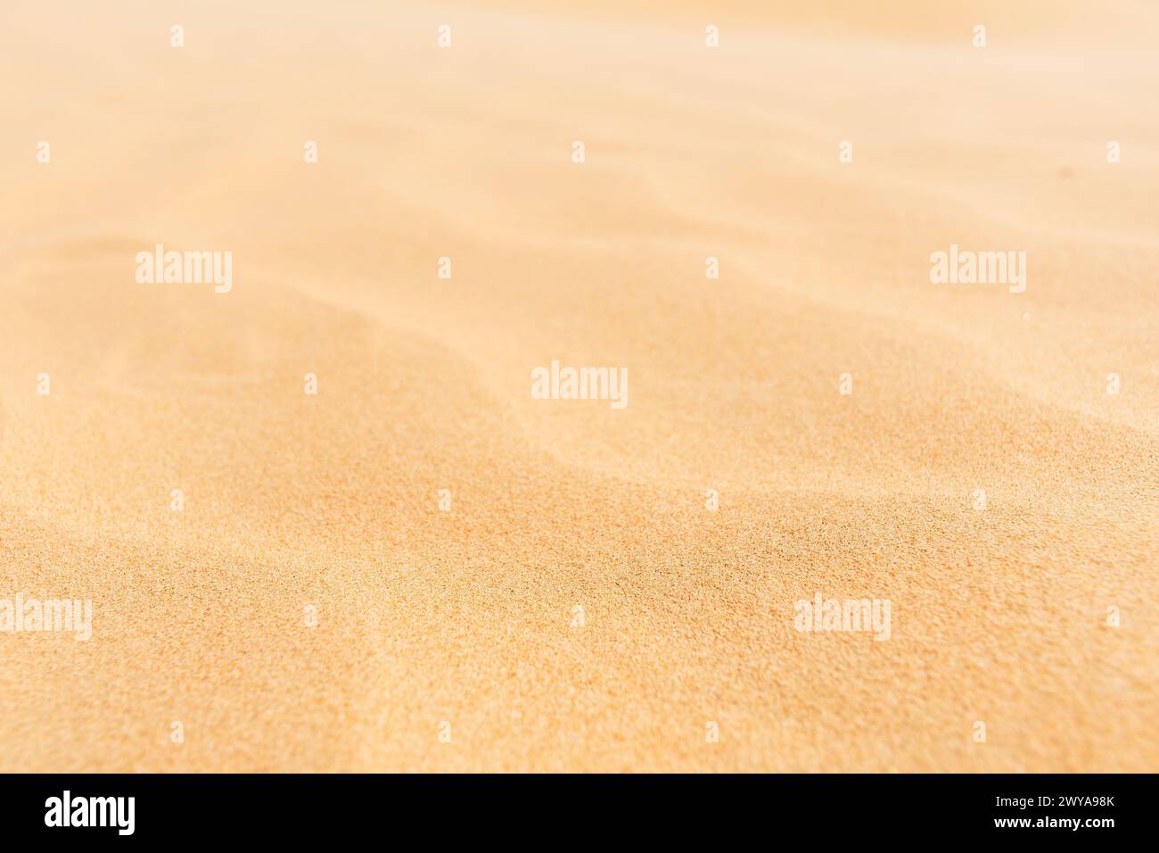 Lebhafte gelbe Sandkornstruktur. Makronaht Sandwellen. Abstrakte Naturhintergründe und Muster Stockfoto
