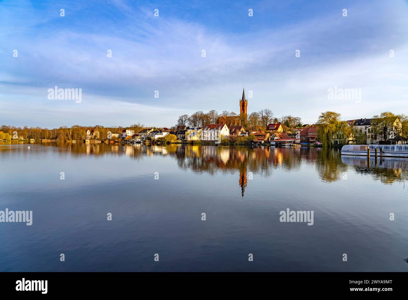 Stadtansicht Feldberg die Stadt Feldberg am Feldberger Haussee mit der Stadtkirche, Feldberger Seenlandschaft, Mecklenburg-Vorpommern, Deutschland Fel Stockfoto