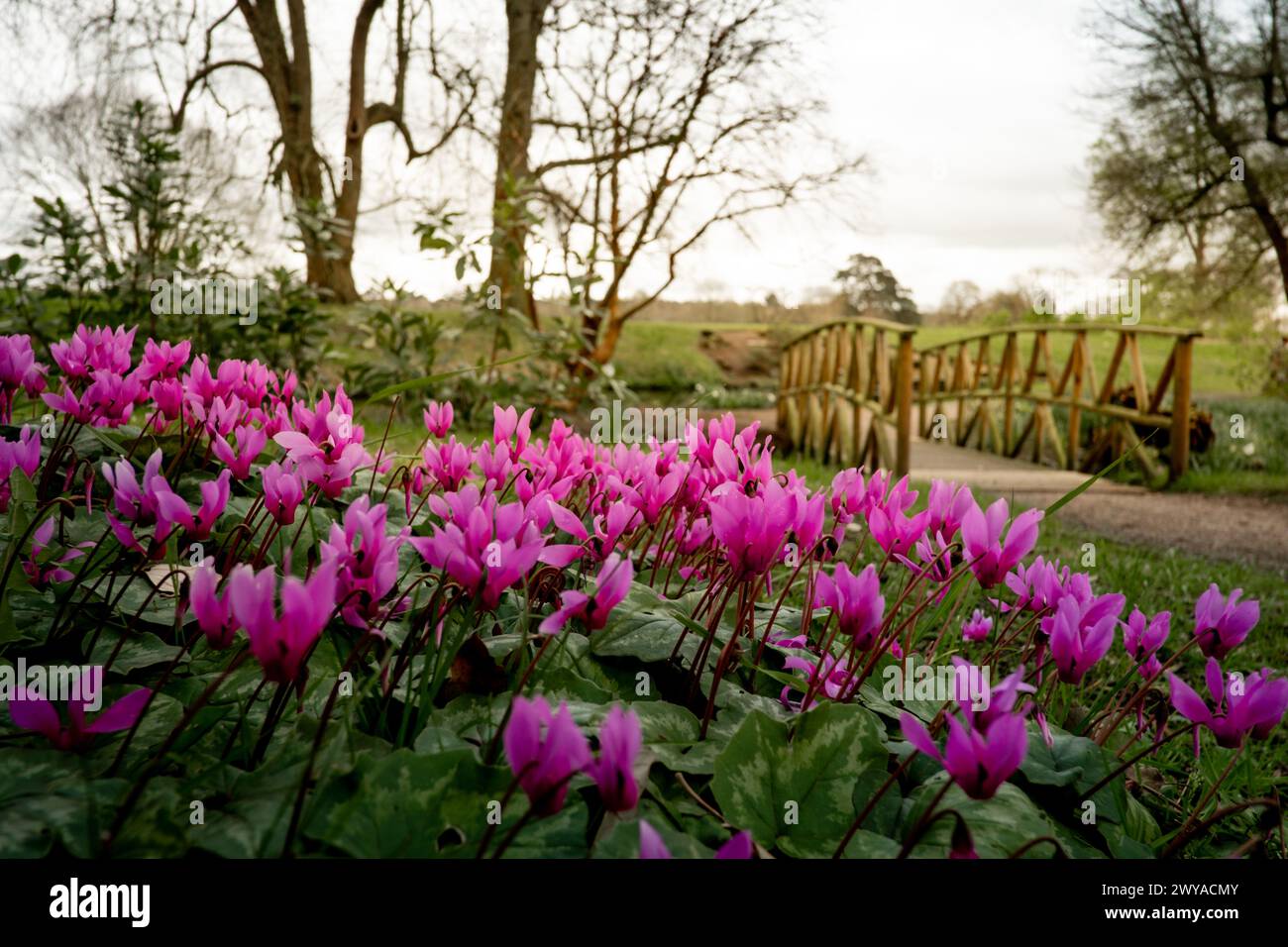 CHOLMONDELEY CASTLE GARDENS, MALPAS, CHESHIRE Stockfoto