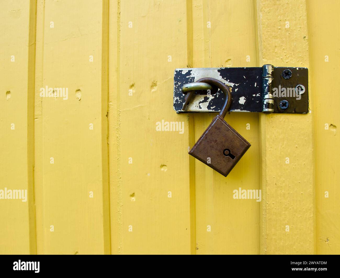 Ein altes und rostiges, nicht verschlossenes Vorhängeschloss hängt im abgenutzten Bracken einer gelben Holztür an einem Werkzeugschuppen im Garten. Stockfoto