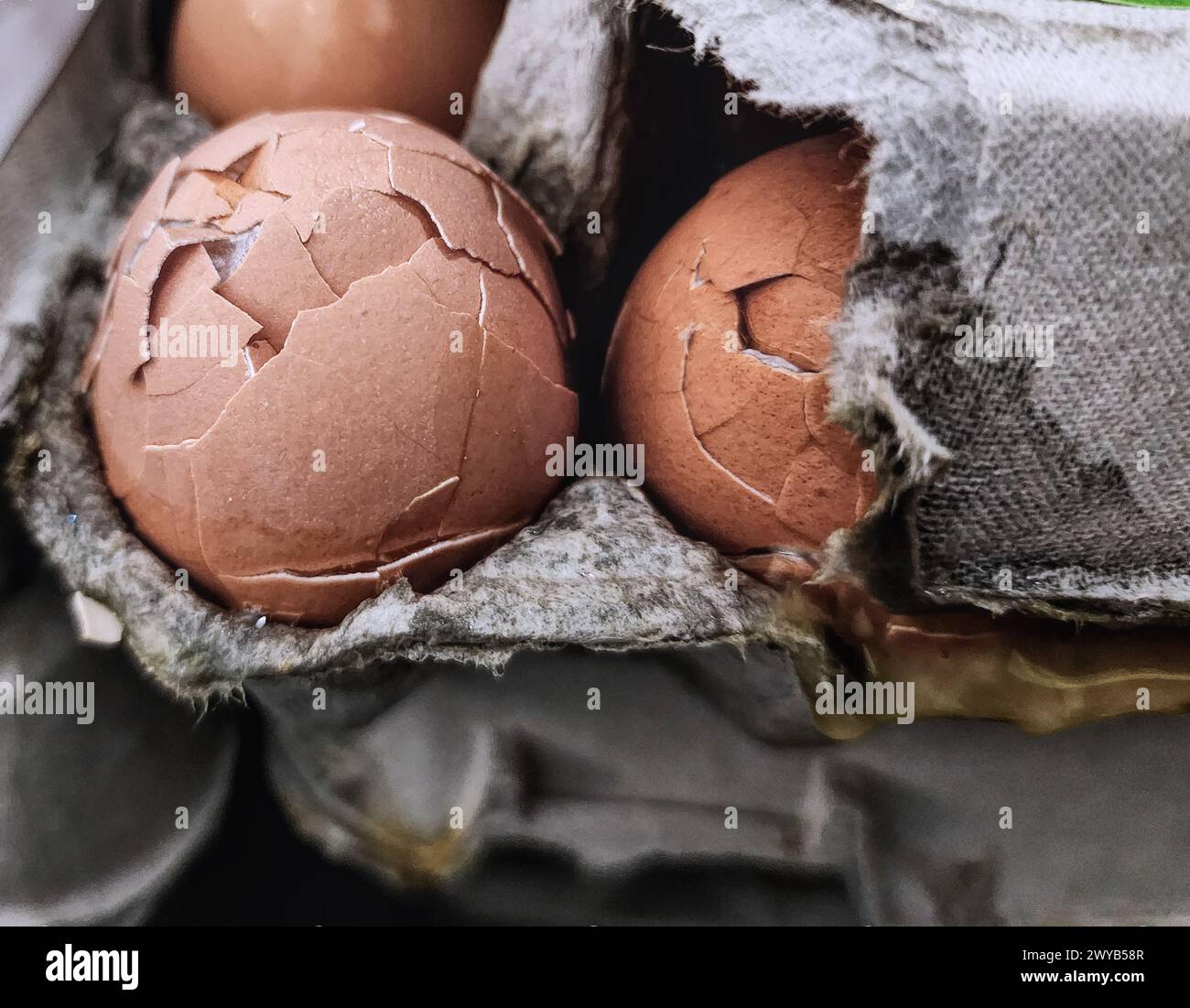 Zwei Eierschalen, die gerissen sind, der Behälter zerrissen ist Stockfoto
