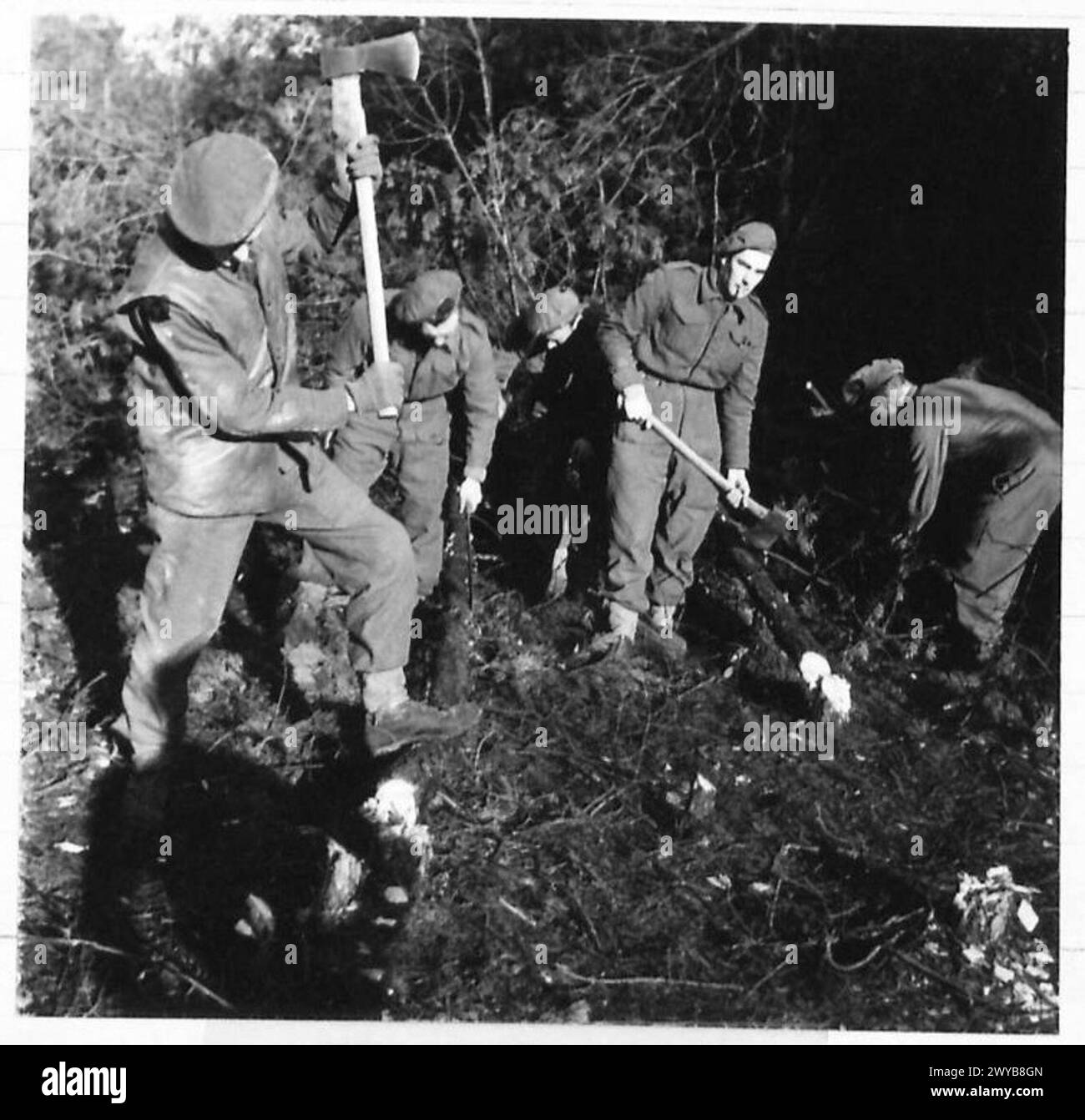 Infanteristen in der Nähe des Flusses Maas schnitten Holz in Wäldern bei Geijsterki, um Einbauten zu bauen. Die Privatpersonen Grant, Johnstone, Davies, Symes und Nicol werden gezeigt. Das Foto wurde von der British Army, 21st Army Group dokumentiert. Stockfoto