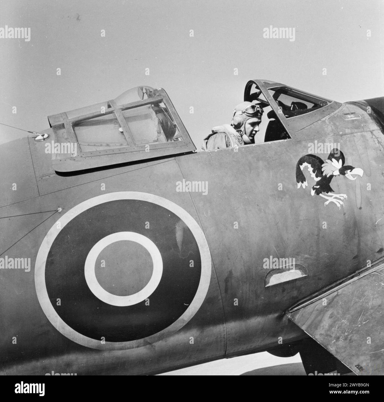 Ein Pilot der British Fleet Air Arm führt im Dezember 1943 eine Cockpitübung vor einem Testflug in einem Chance-Vought Corsair-Kampfflugzeug durch. Stockfoto