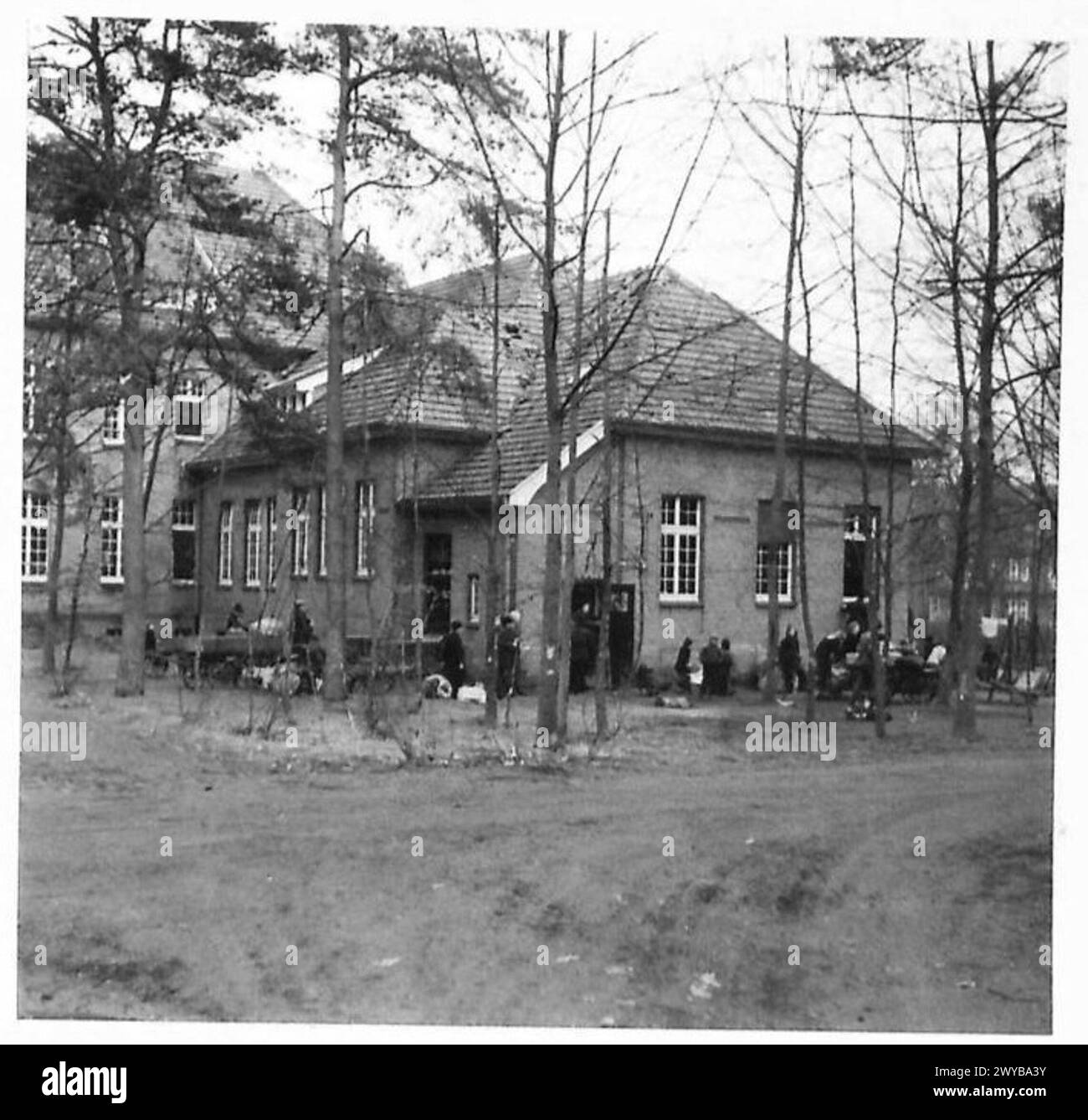 Deutsche Zivilisten werden nach Verhören und Registrierung auf Knüppeln umgeleitet und verlegen Habseligkeiten auf baumgesäumten Wegen in neue Wohnsitze unter Militärregierung. Stockfoto