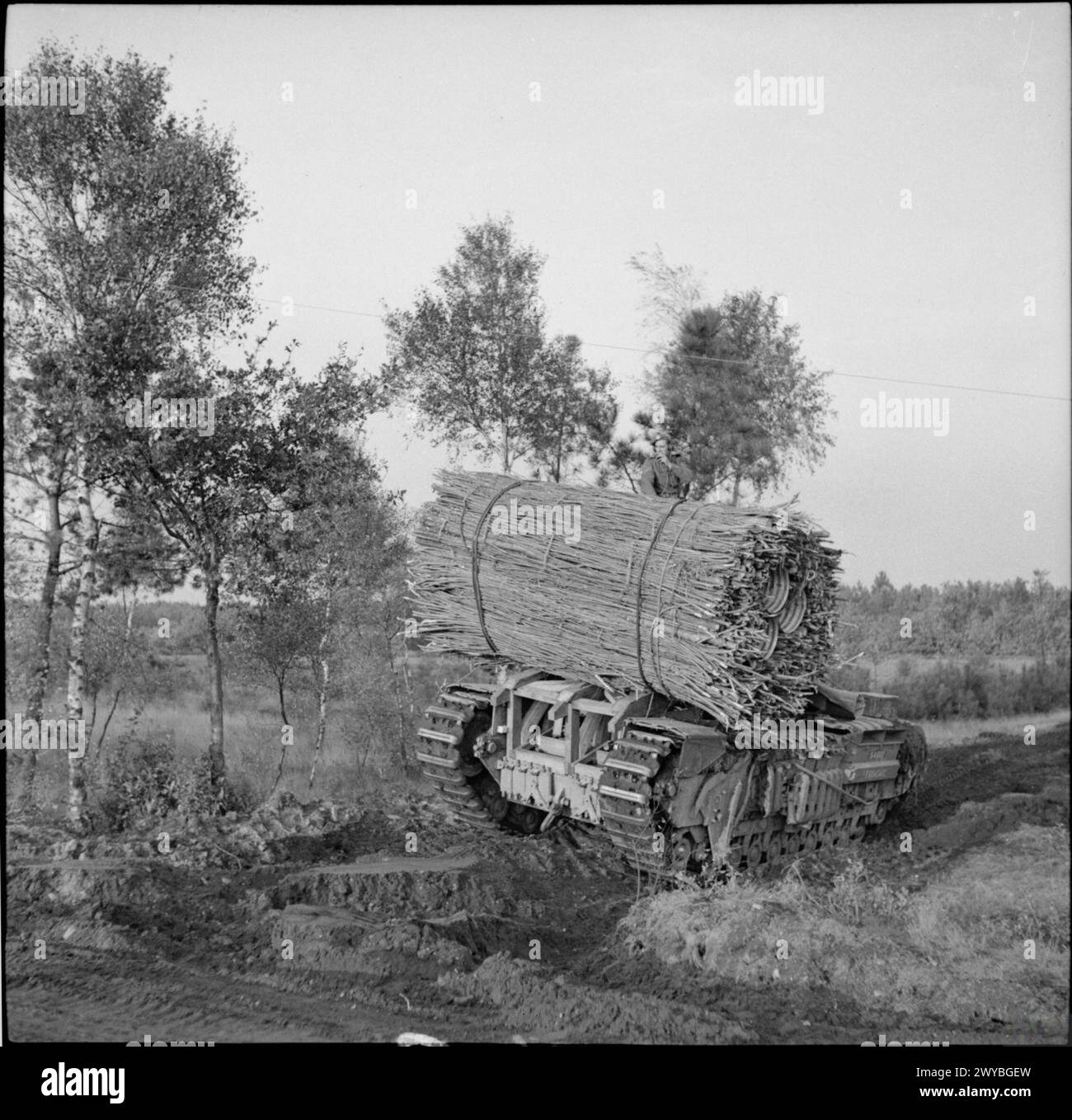 Ein Churchill-AVRE-Panzer, der einen Fascinus transportierte, greift 53 am 23. Oktober 1944 westlich von Oss in Holland vor. Stockfoto