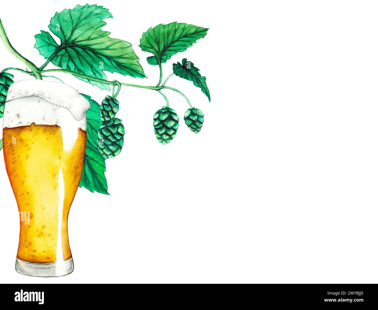 Glas frisches Bier mit Schaum-Kappe und frischen grünen Blättern Hop isoliert auf weißem Hintergrund. Aquarell handgezeichnete Illustration für das Oktoberfest. Hop Stockfoto