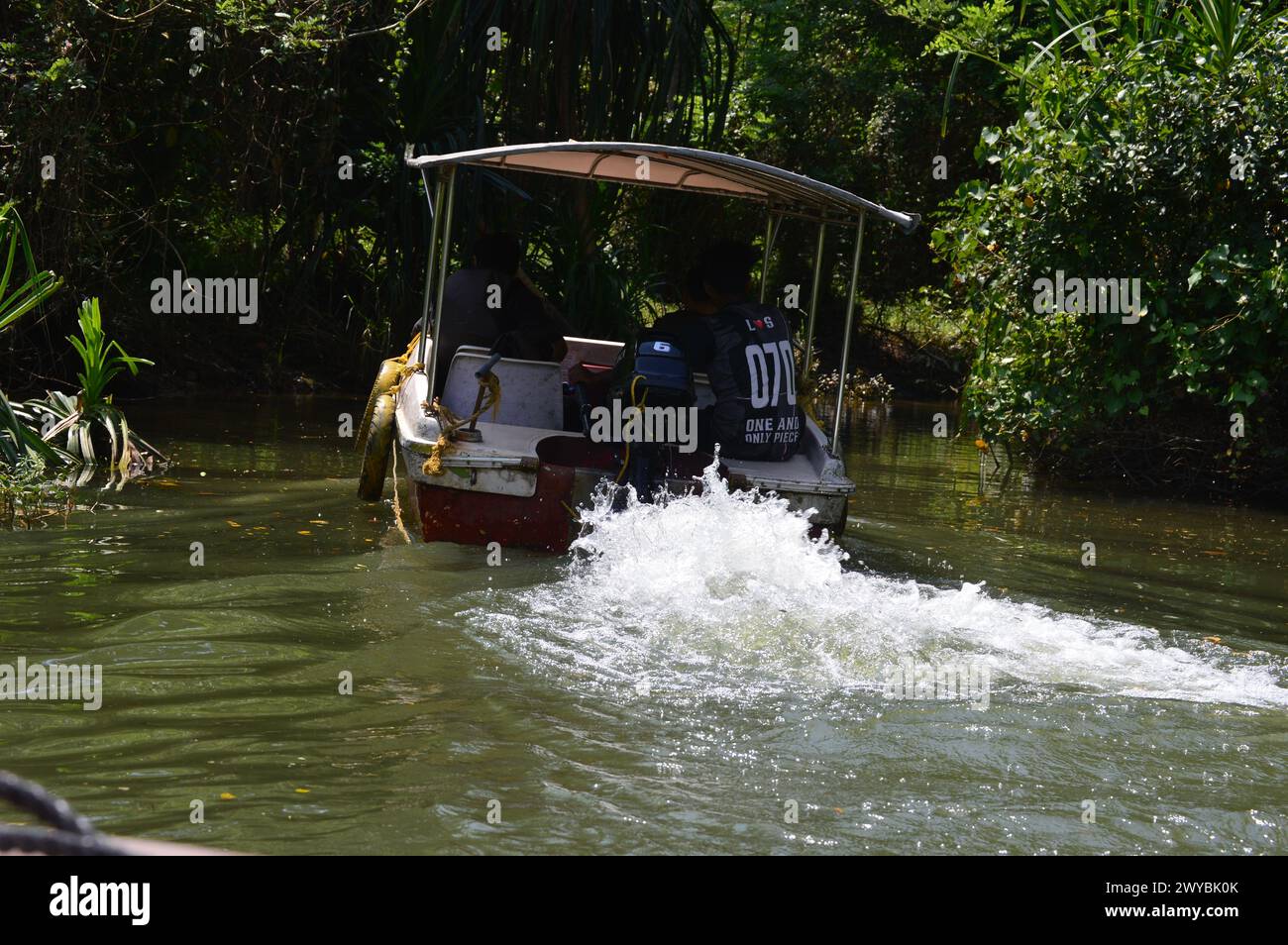 Poovar Thiruvananthapuram, kerala, Indien - 8. April 2024. Bootstour durch das Hinterwasser von Poovar. Erstaunlich unerforschtes, ruhiges Hinterwasser. Stockfoto