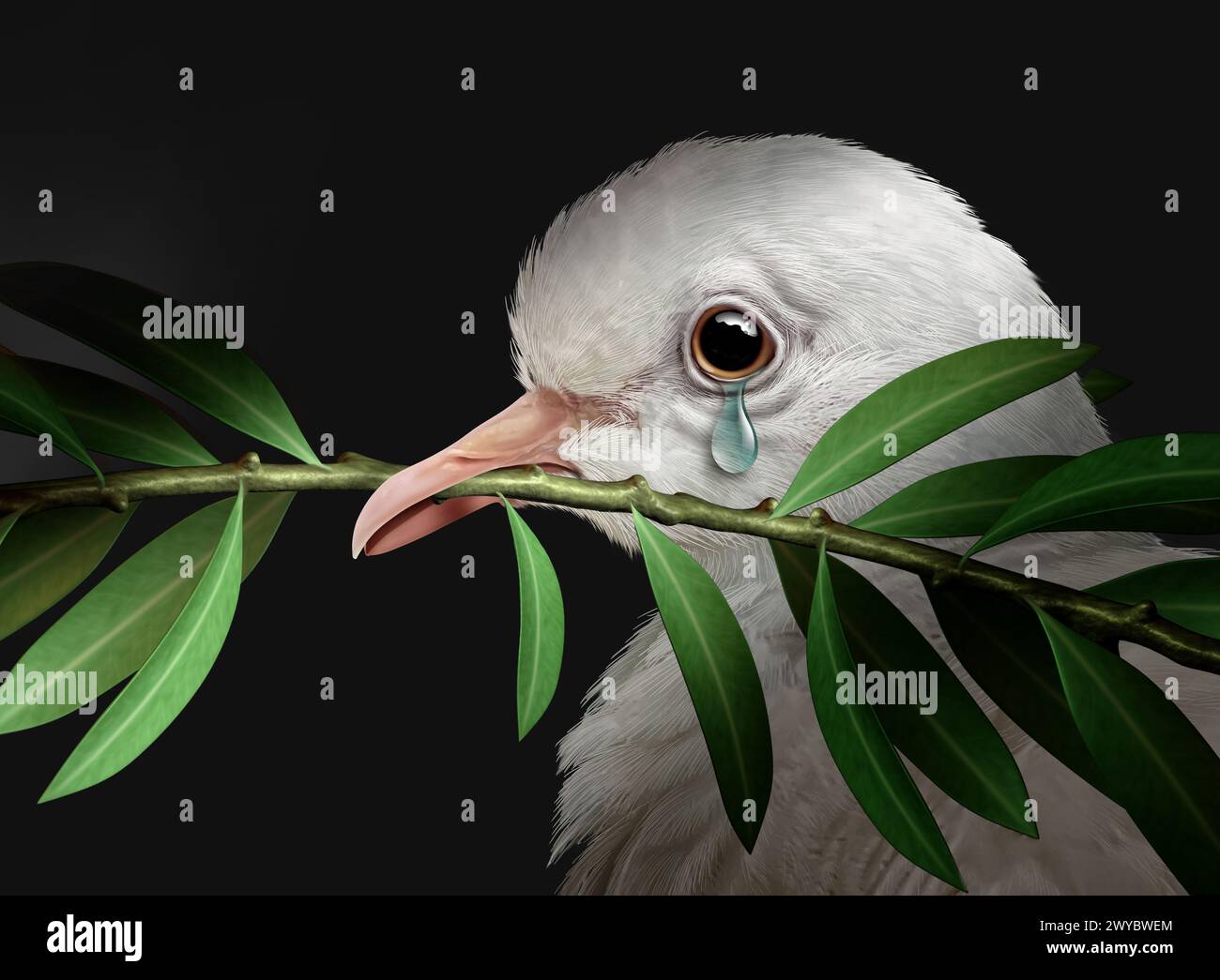 Scheitern der Diplomatie als gescheiterte Friedensgespräche, die zur Tragödie des Krieges führten, wie eine weiße Taube mit einem Olivenzweig, der vor Tränen der Traurigkeit weint, repräsentieren Stockfoto