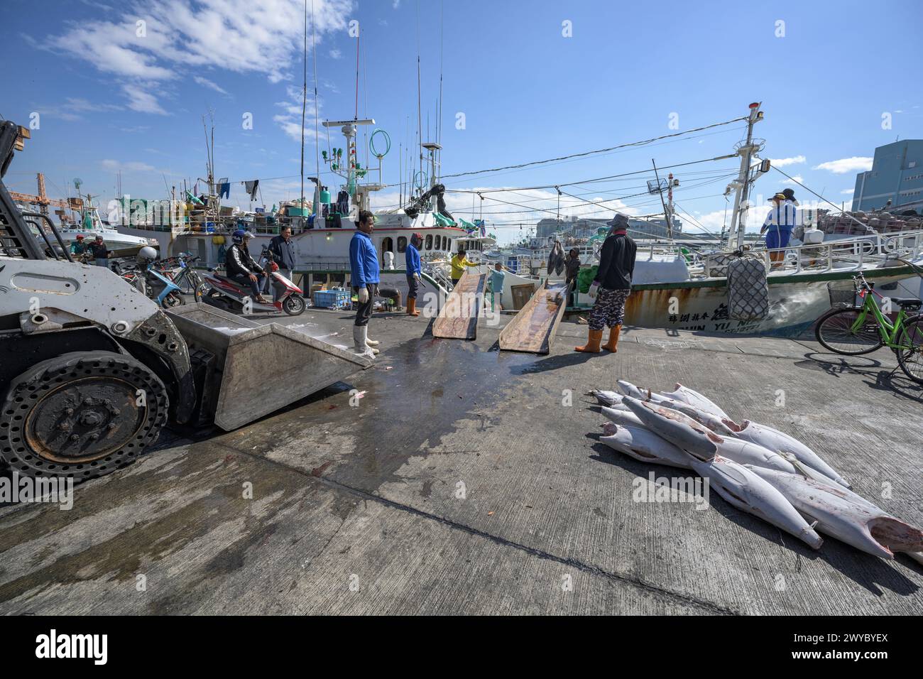 Fischer in einem Hafen laden gefrorenen Fisch von einem Boot an einem sonnigen Tag mit Fischerbooten im Hintergrund herunter Stockfoto
