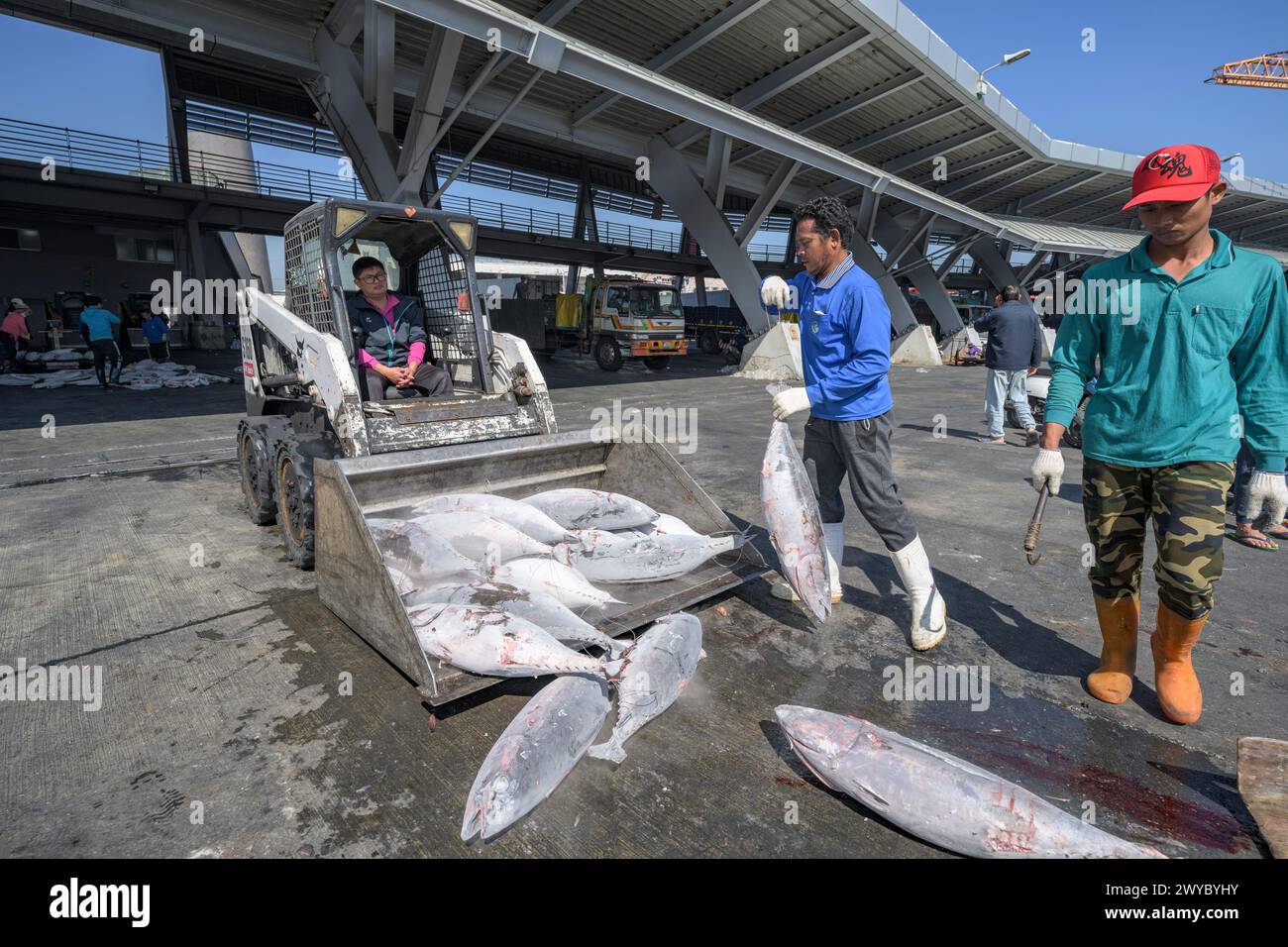Fischer in einem Hafen laden an einem sonnigen Tag gefrorenen Fisch von einem Boot herunter und laden sie bereit zum Verkauf Stockfoto