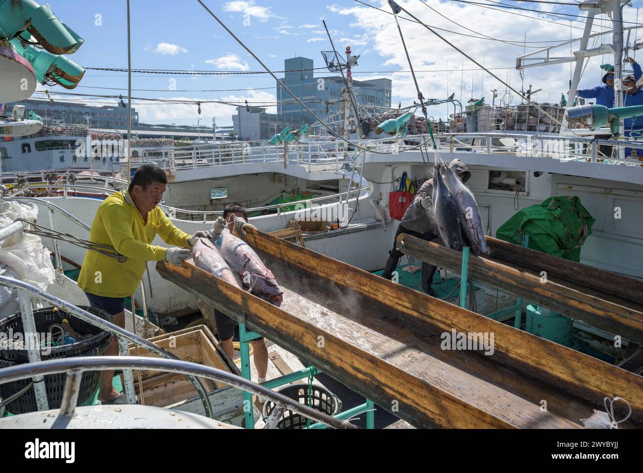 Fischer in einem Hafen laden gefrorenen Fisch von einem Boot an einem sonnigen Tag mit Fischerbooten im Hintergrund herunter Stockfoto