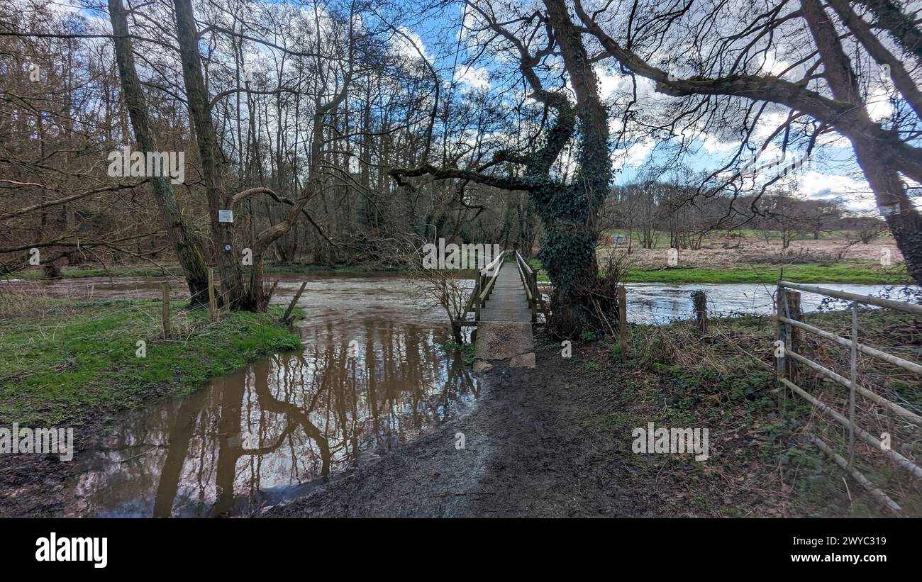 River Wey bei Pierrepont Farm, frensham, Überschwemmung, Bridelway, Brücke Wasserwiese Stockfoto