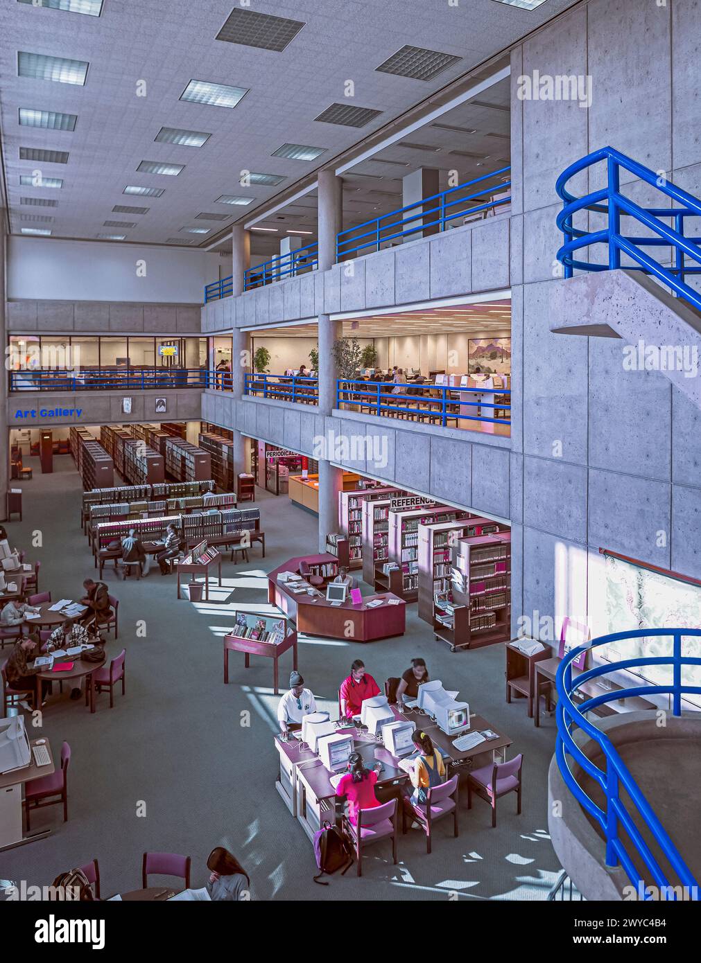 Studenten studieren in einer Bibliothek. Stockfoto