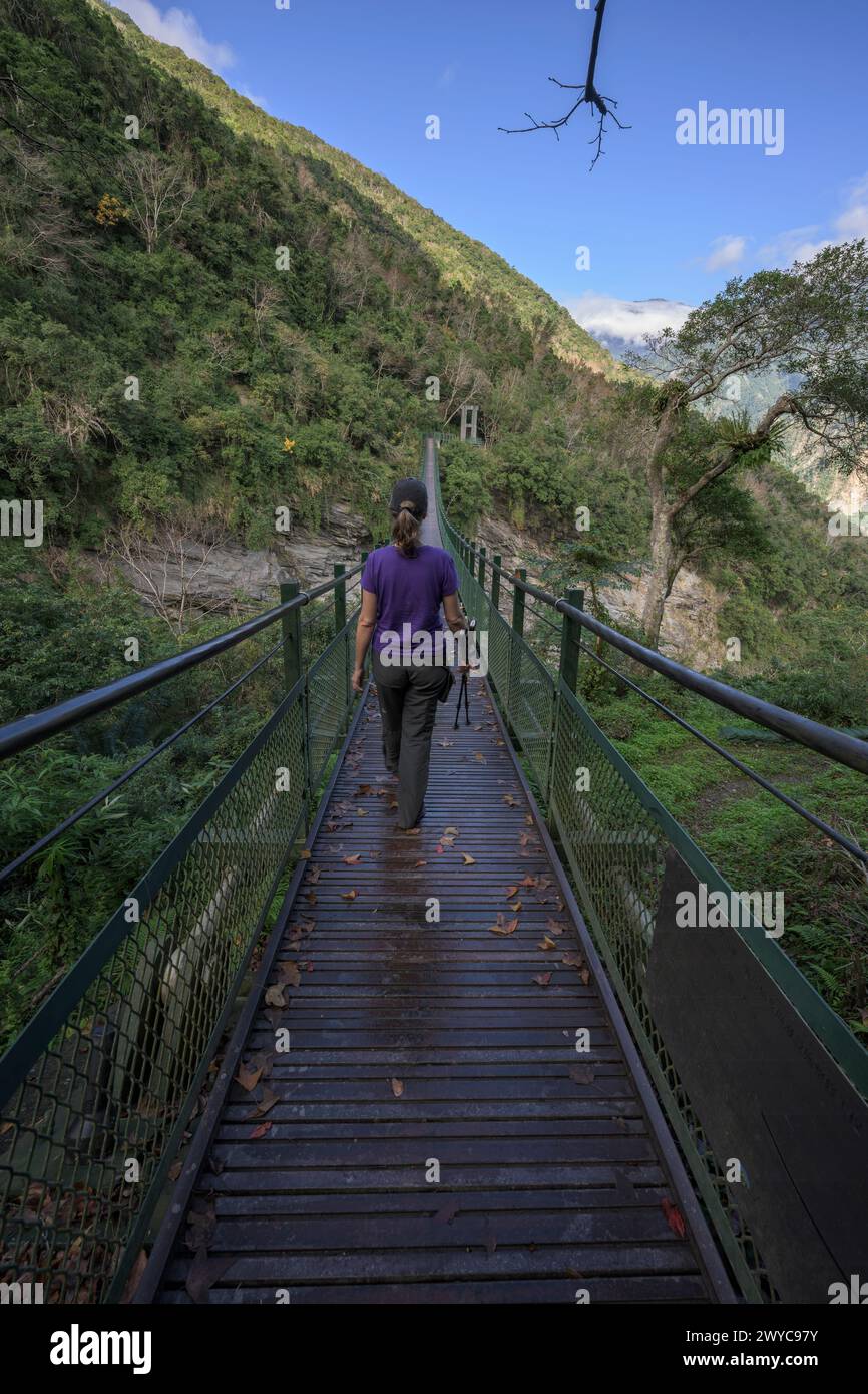 Das Bild zeigt eine einsame Frau, die auf einer hölzernen Hängebrücke, umgeben von üppigem Grün, von der Kamera weggeht Stockfoto
