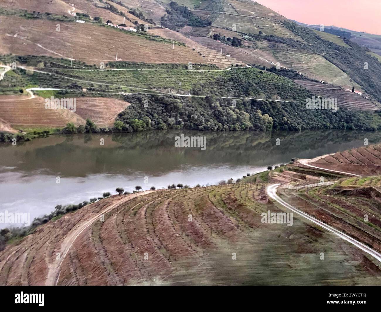 Blick aus dem Auto, das auf der Straße entlang des Flusses durch terrassenförmig angelegte Hügel mit Weinbergen in der Weinregion Duoro Valley in Portugal, Europa, fährt. Stockfoto