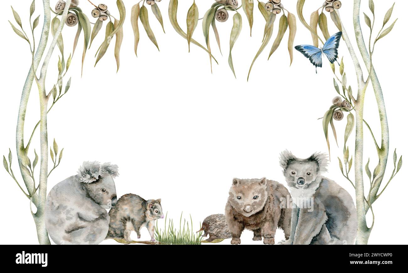 Koala und Possum-Karte mit Wombat und Echidna verziert mit Eukalyptusblättern. Australische einheimische Tiere Aquarellillustration auf weißem Hintergrund. Stockfoto