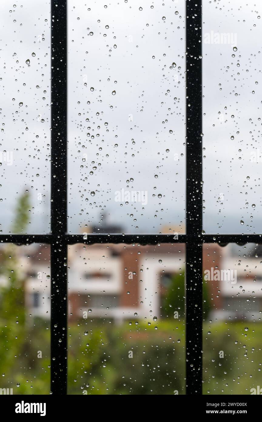 Ein regnerischer Tag hinter den Fensterstangen zu Hause im Frühling Stockfoto