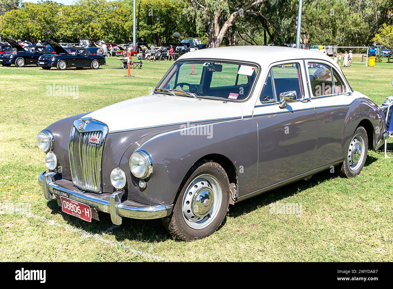1950er Jahre MG Magnette Four Foor Saloon auf dem 2024 Centenary National Meeting am 30. März in Tamworth Australia. Stockfoto