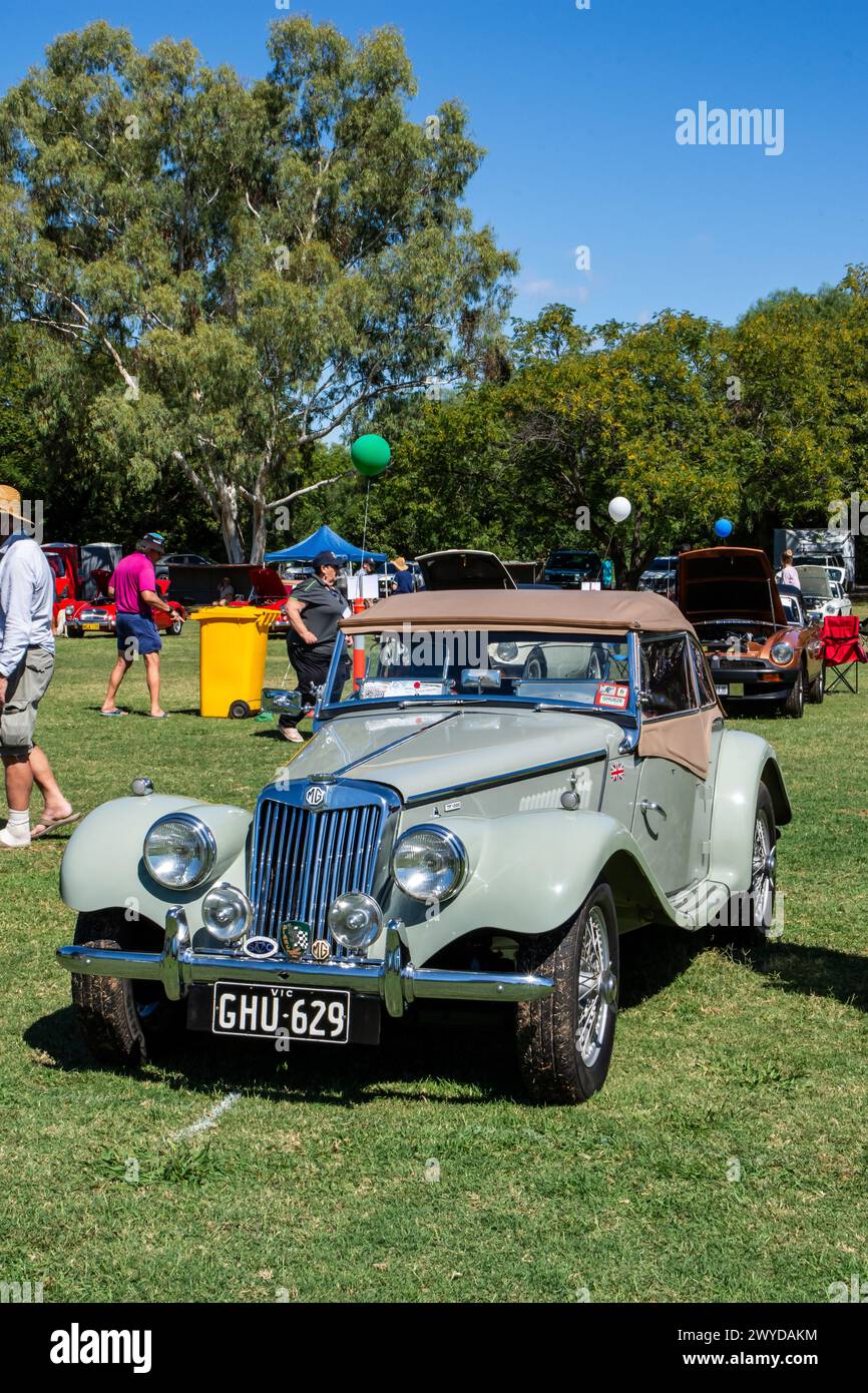 1955 MG TF 1500 Sportwagen auf dem MG Centenary National Meeting in Tamworth Australien am 30. März 2024. Stockfoto