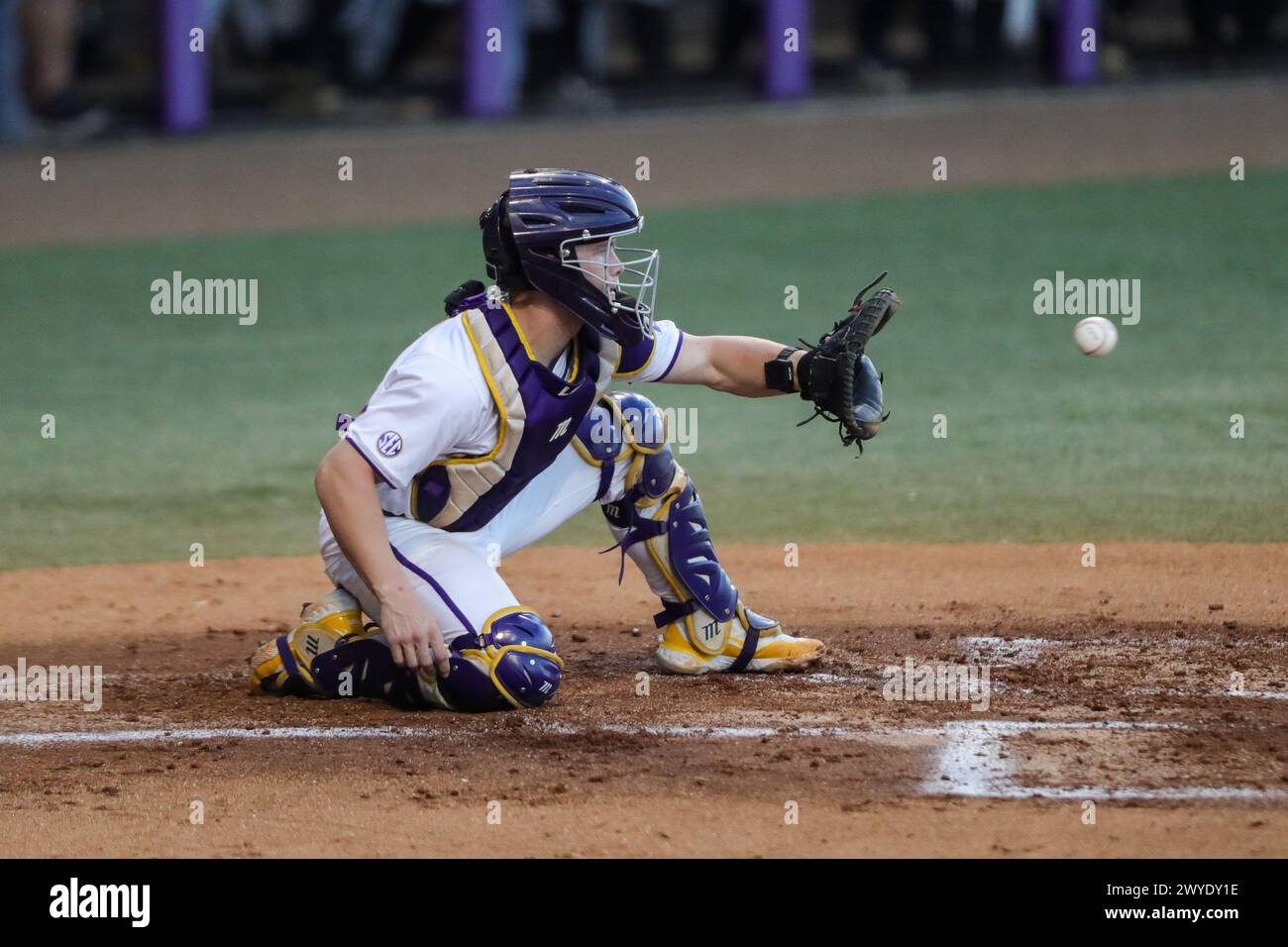 Baton Rouge, LA, USA. April 2024. Brady Neal (18) von LSU beobachtet einen Ball in seinem Handschuh während der NCAA Baseball-Action zwischen den Vanderbilt Commodores und den LSU Tigers im Alex Box Stadium, Skip Bertman Field in Baton Rouge, LA. Jonathan Mailhes/CSM (Credit Image: © Jonathan Mailhes/Cal Sport Media). Quelle: csm/Alamy Live News Stockfoto