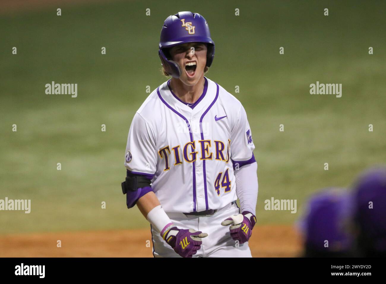 Baton Rouge, LA, USA. April 2024. Ashton Larson (44) feiert nach einem Homerun während der NCAA Baseball-Action zwischen den Vanderbilt Commodores und den LSU Tigers im Alex Box Stadium, Skip Bertman Field in Baton Rouge, LA. Jonathan Mailhes/CSM/Alamy Live News Stockfoto