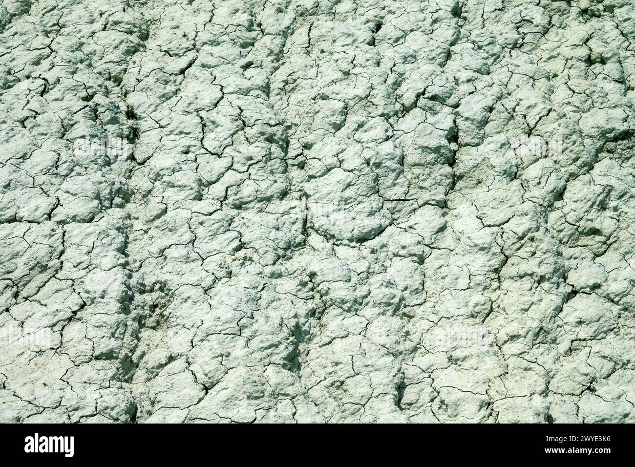 Edaphische Zustände. Die Oberfläche Bedlands in Nahaufnahme. Ton erodierte Hänge, Ablagerungen der Trias, Oberflächenfluvialerosion Stockfoto