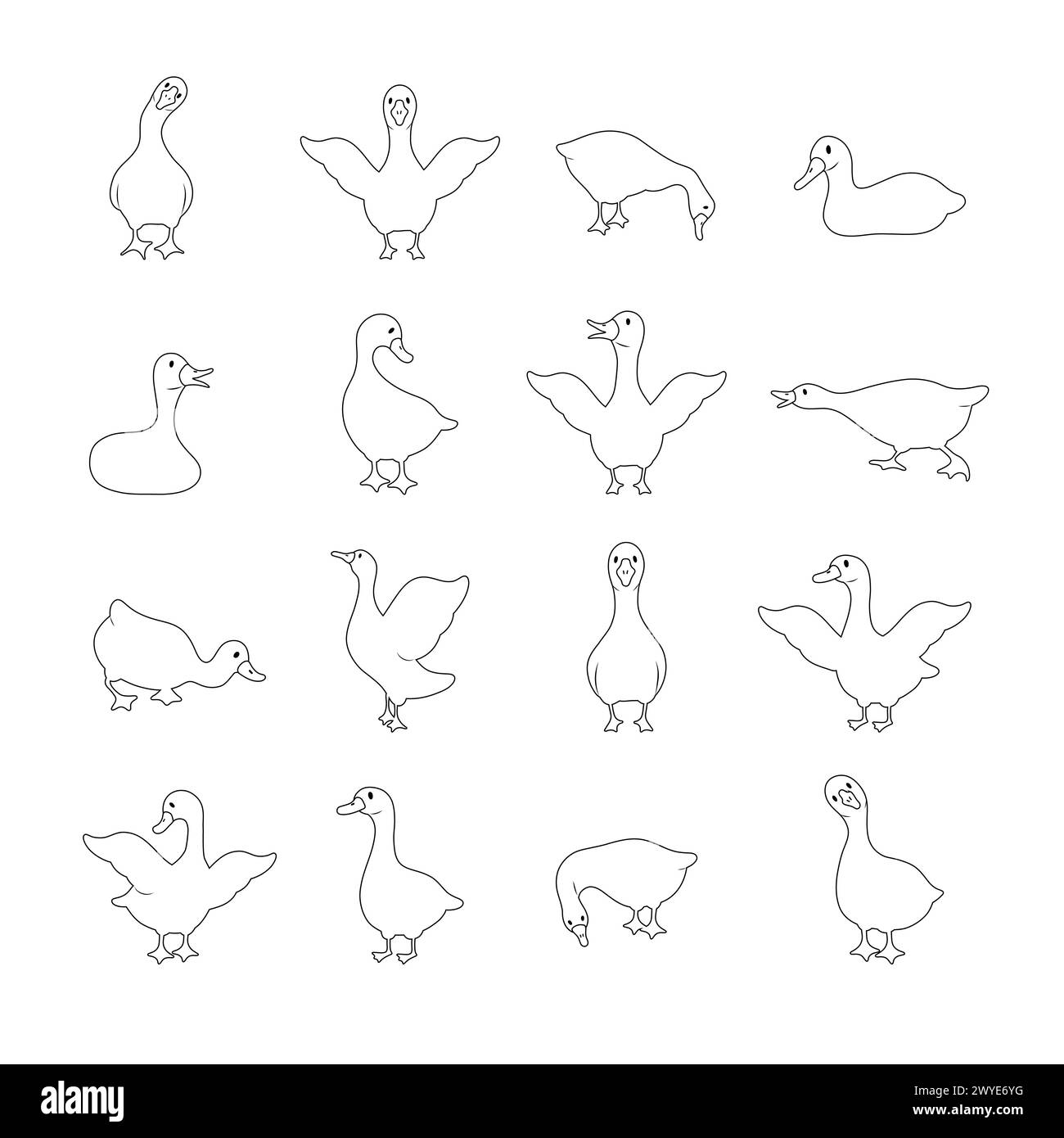 Set aus linearer Gänse-Silhouette. Haus- und Wildenten auf weißem Hintergrund. Landwirtschaftliche Vögel auf dem Bauernhof. Ländliche Tierwelt. Handgezeichneter Druck. Vektor Stock Vektor