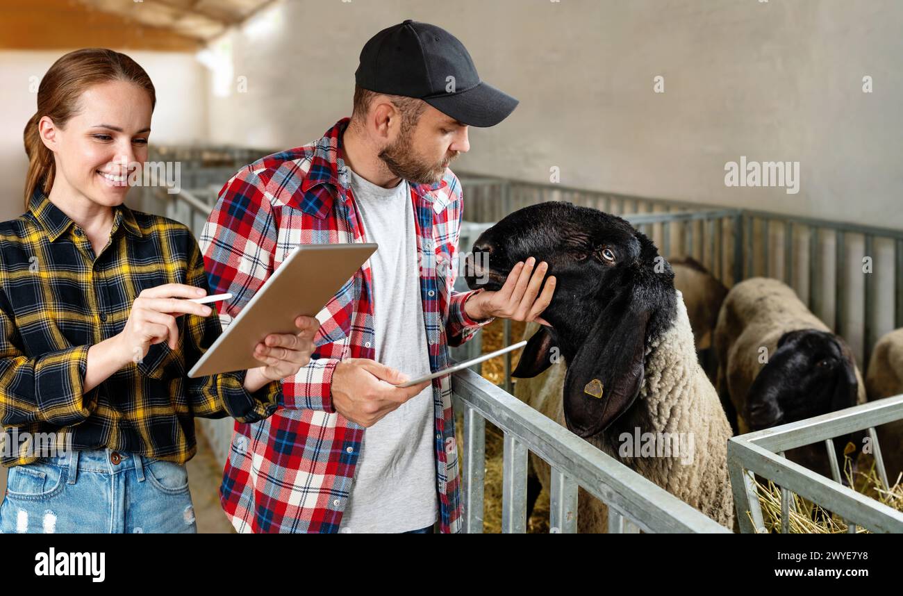 Junge moderne Bauern mit digitalen Tablets in Händen arbeiten in der Viehzucht. Kontrollieren Sie Tiere auf dem Bauernhof. Stockfoto