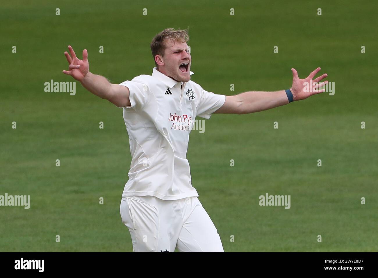 Dillon Pennington aus Nottinghamshire mit einem Appell für ein Wicket während Nottinghamshire CCC vs Essex CCC, Vitality County Championship Division 1 Cric Stockfoto