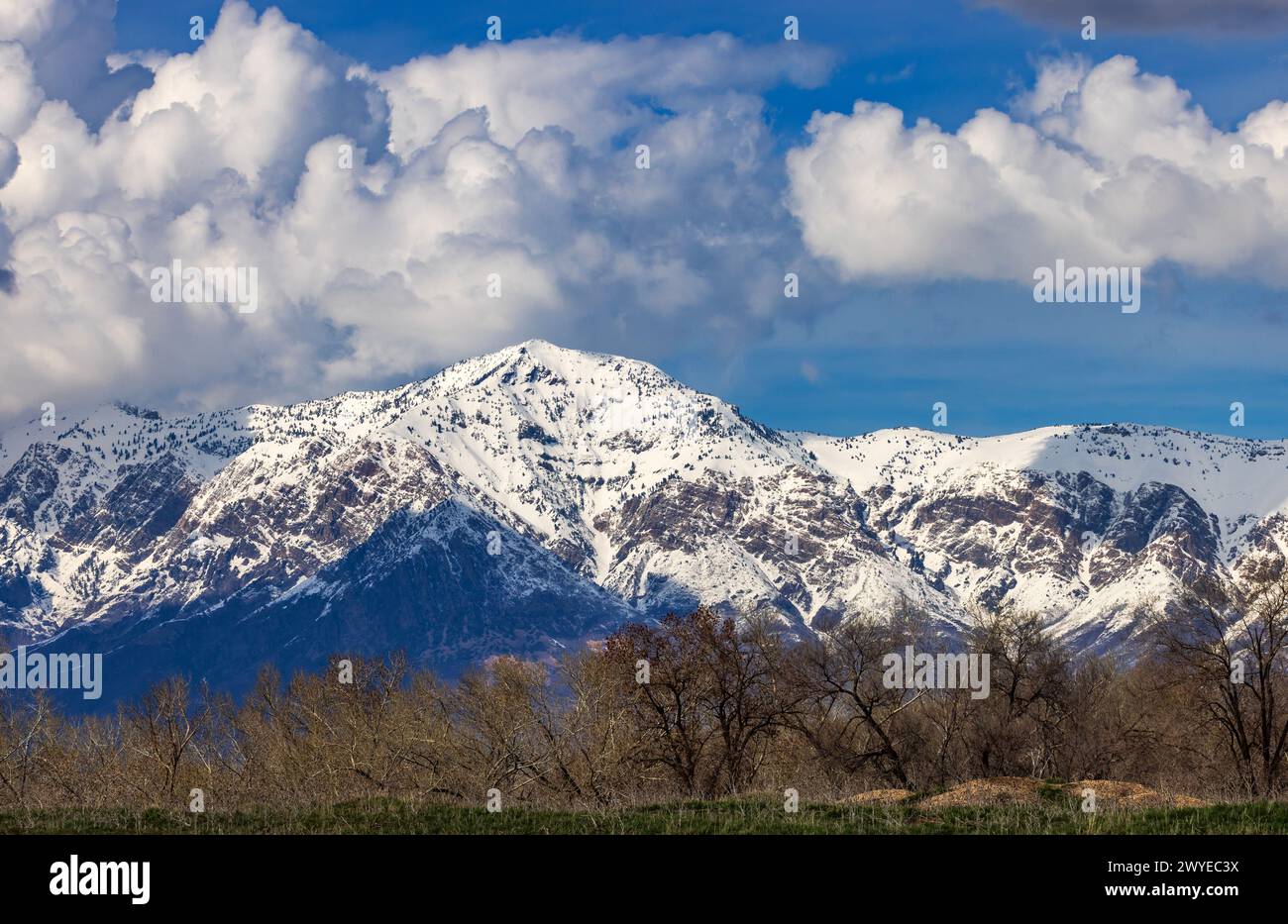 Die Wolken erheben sich über dem schneebedeckten Ben Lomond Peak am nördlichen Ende von Ogden, Weber County, Utah, USA. Stockfoto