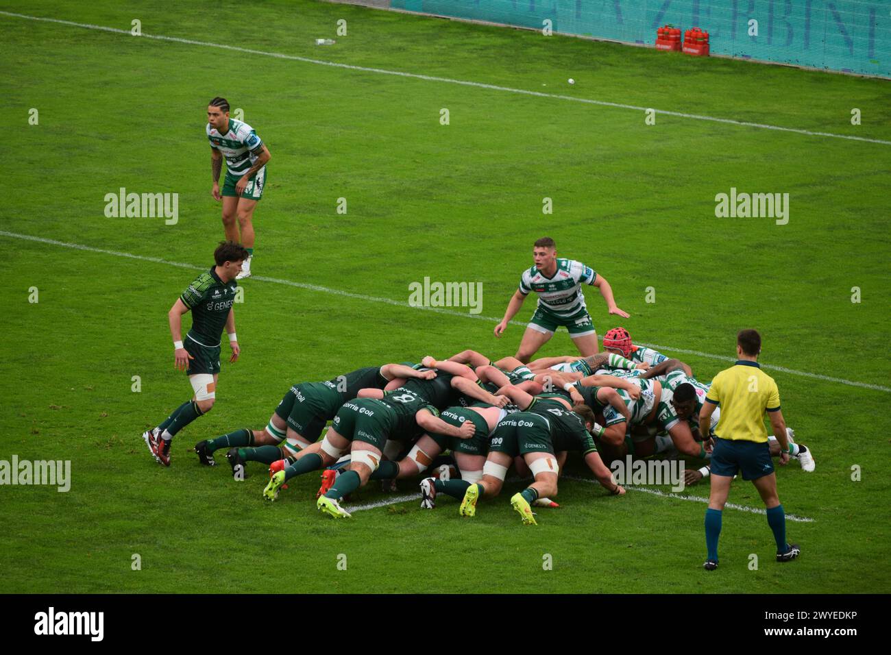 Scrum während Benetton Treviso und Connacht im URC im März 2024 Stockfoto