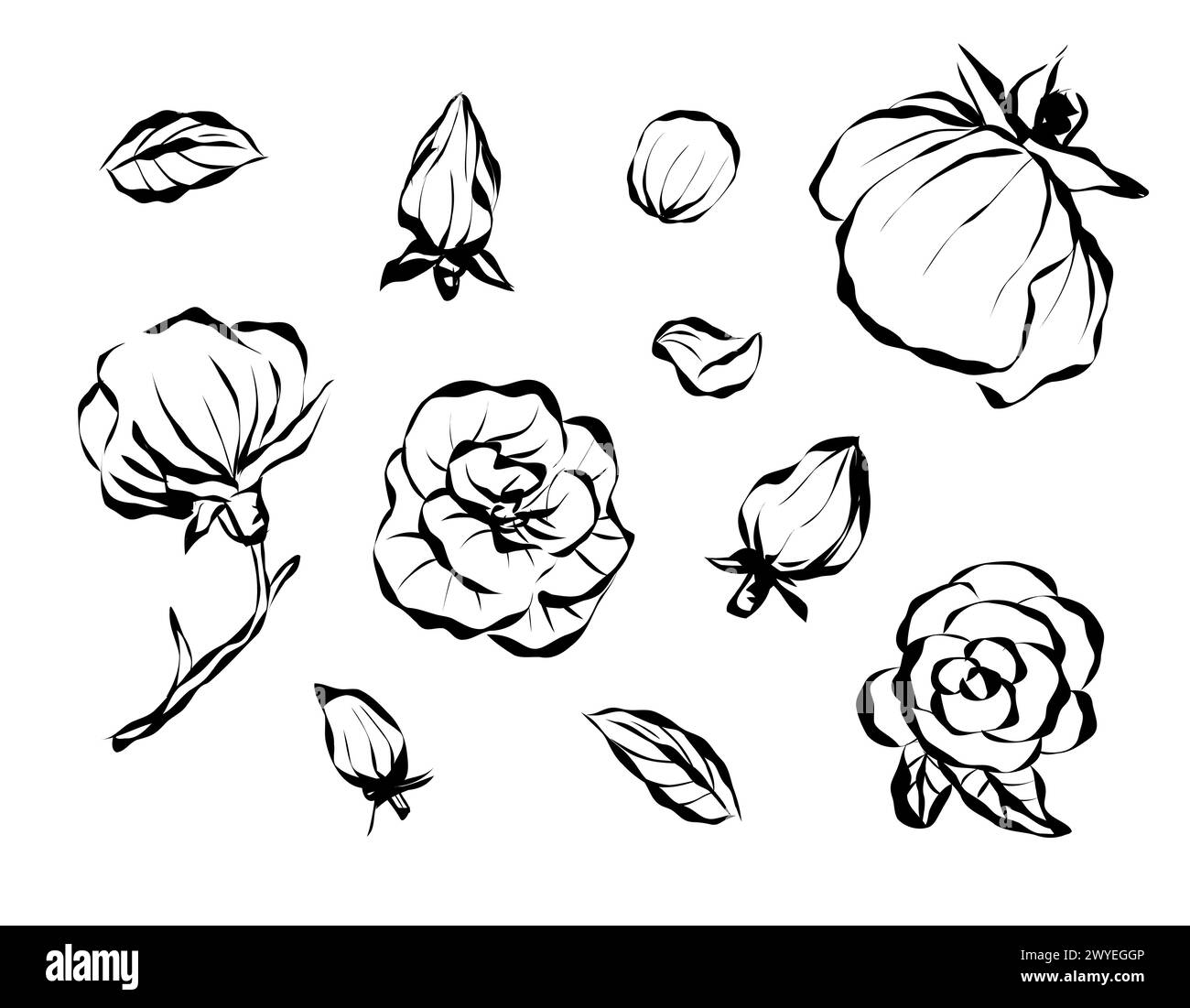 Set von Rosen isolierte Linie Art Doodle mit Blattelement, Vektorblume Design mit Tinte gezeichnet. Blumenschmuck, Blumen, Blumen der Liebe. Stock Vektor