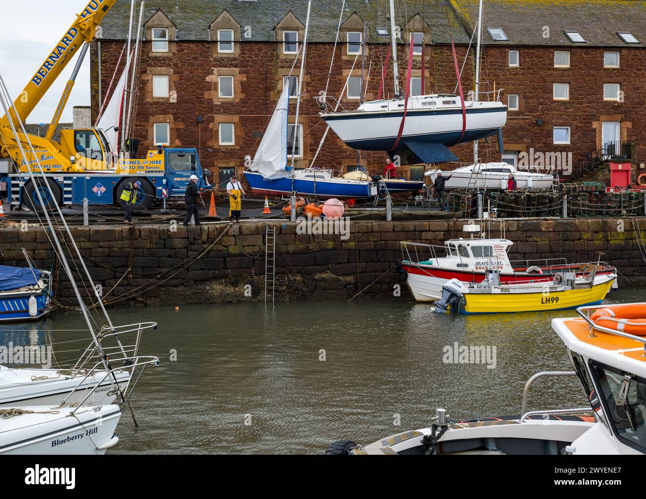 North Berwick Harbour, East Lothian, Schottland, Großbritannien, 6. April 2024. Yachten ins Wasser: Heute findet die jährliche Veranstaltung statt, bei der ein Kran organisiert wird, um über 20 Segelboote in die Sommersaison zu heben. Quelle: Sally Anderson/Alamy Live News Stockfoto