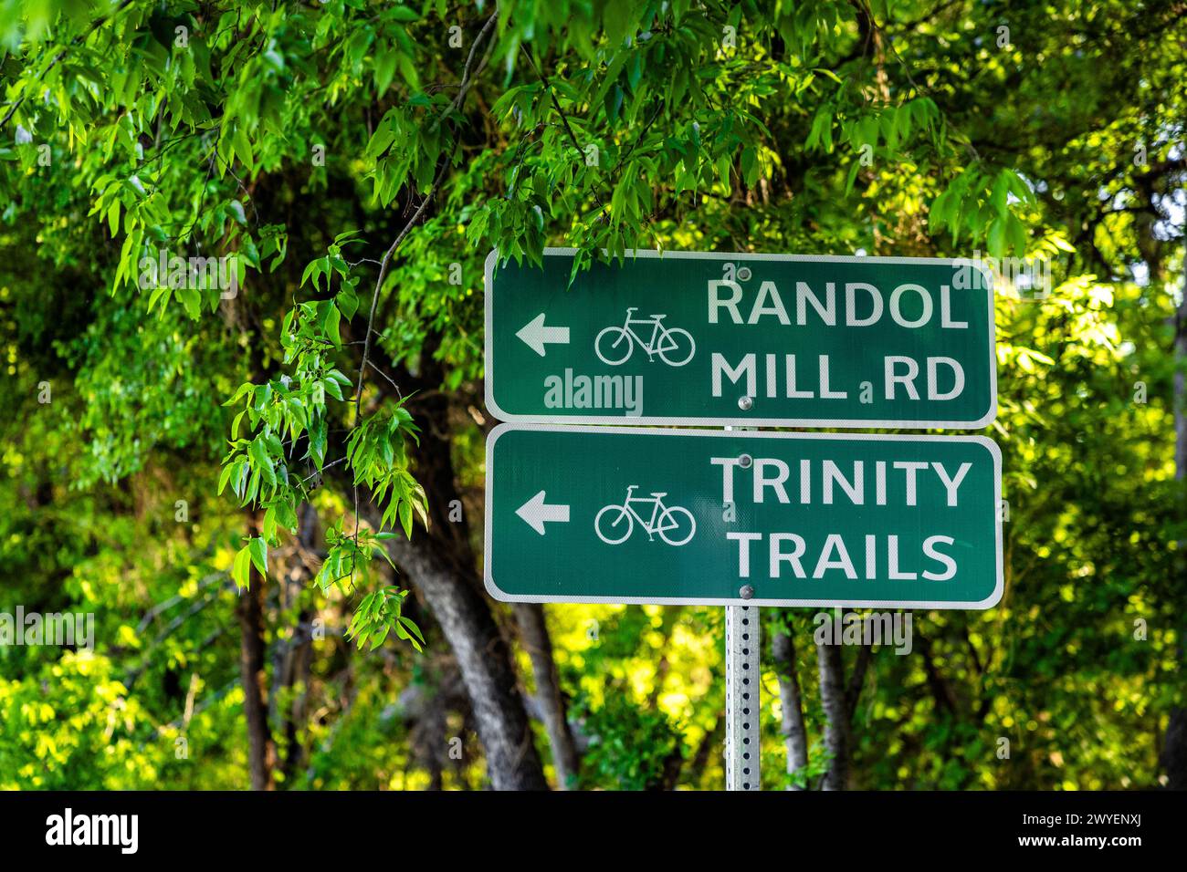 Ein Straßenschild für Fahrradwege an grünen Bäumen Stockfoto