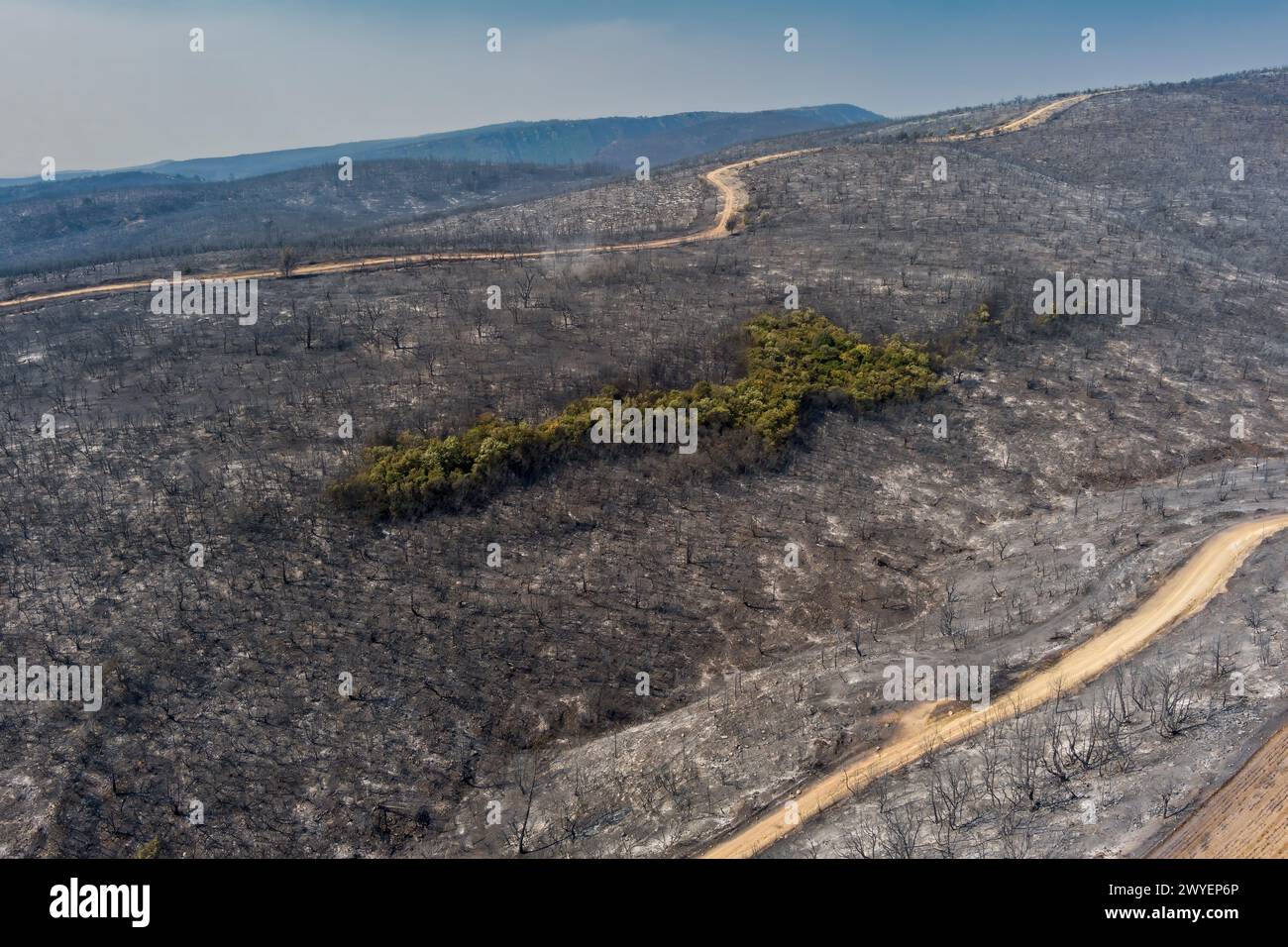 Die Luftaufnahme zeigt ein verbranntes Gebiet nach einem Brand in der Präfektur Evros im Norden Griechenlands, bei dem am 23. August 2023 der größte Brand in Europa war. Katastrophal Stockfoto