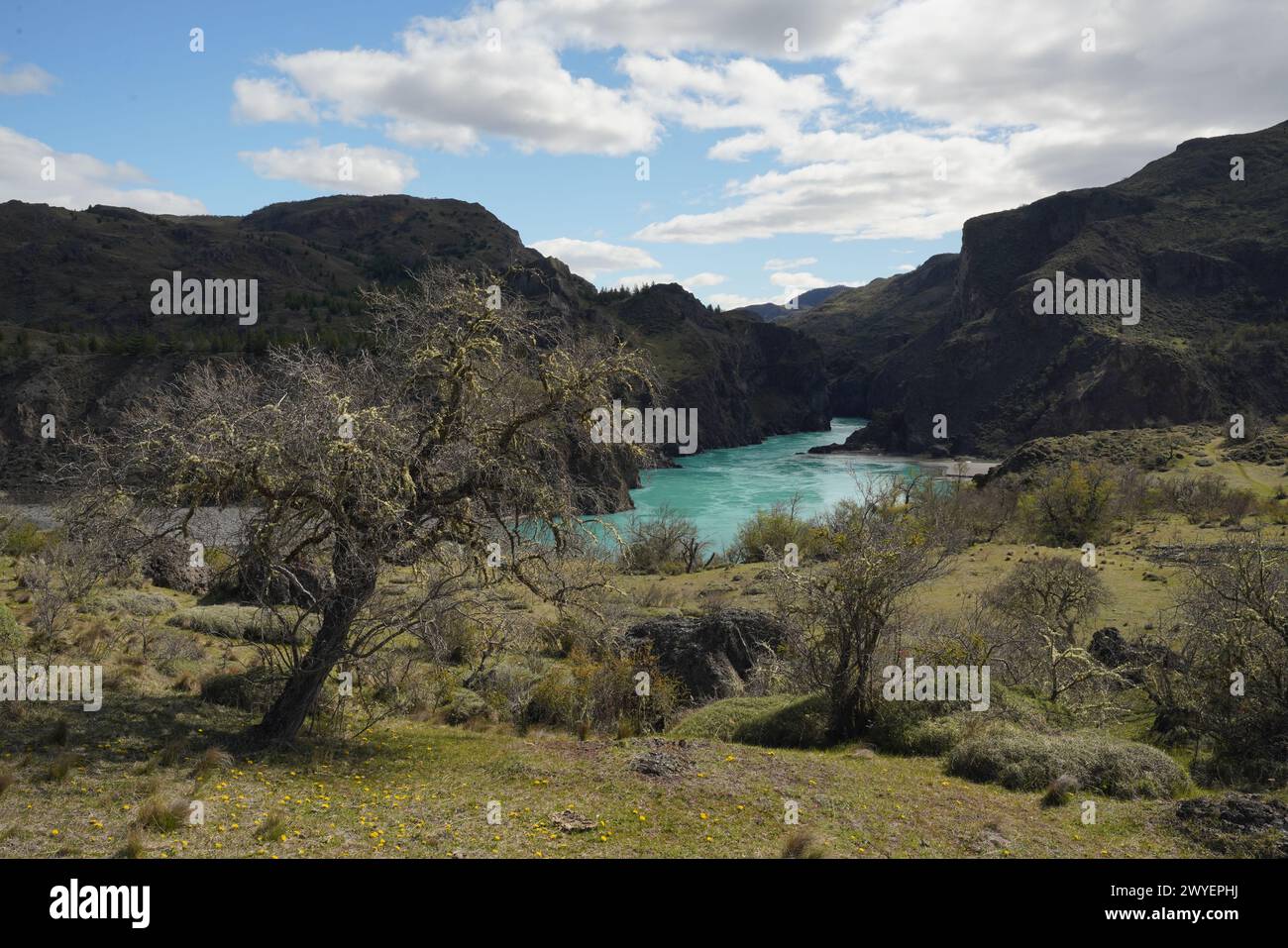 Ein malerischer Blick auf einen Fluss in einem grünen Tal in Chile Stockfoto