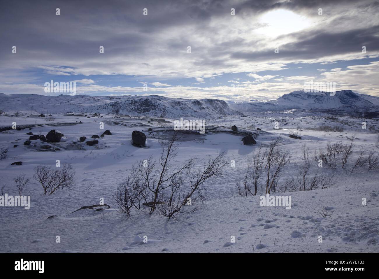 Ein malerischer Blick auf Schwedisch Lappland im Winter Stockfoto