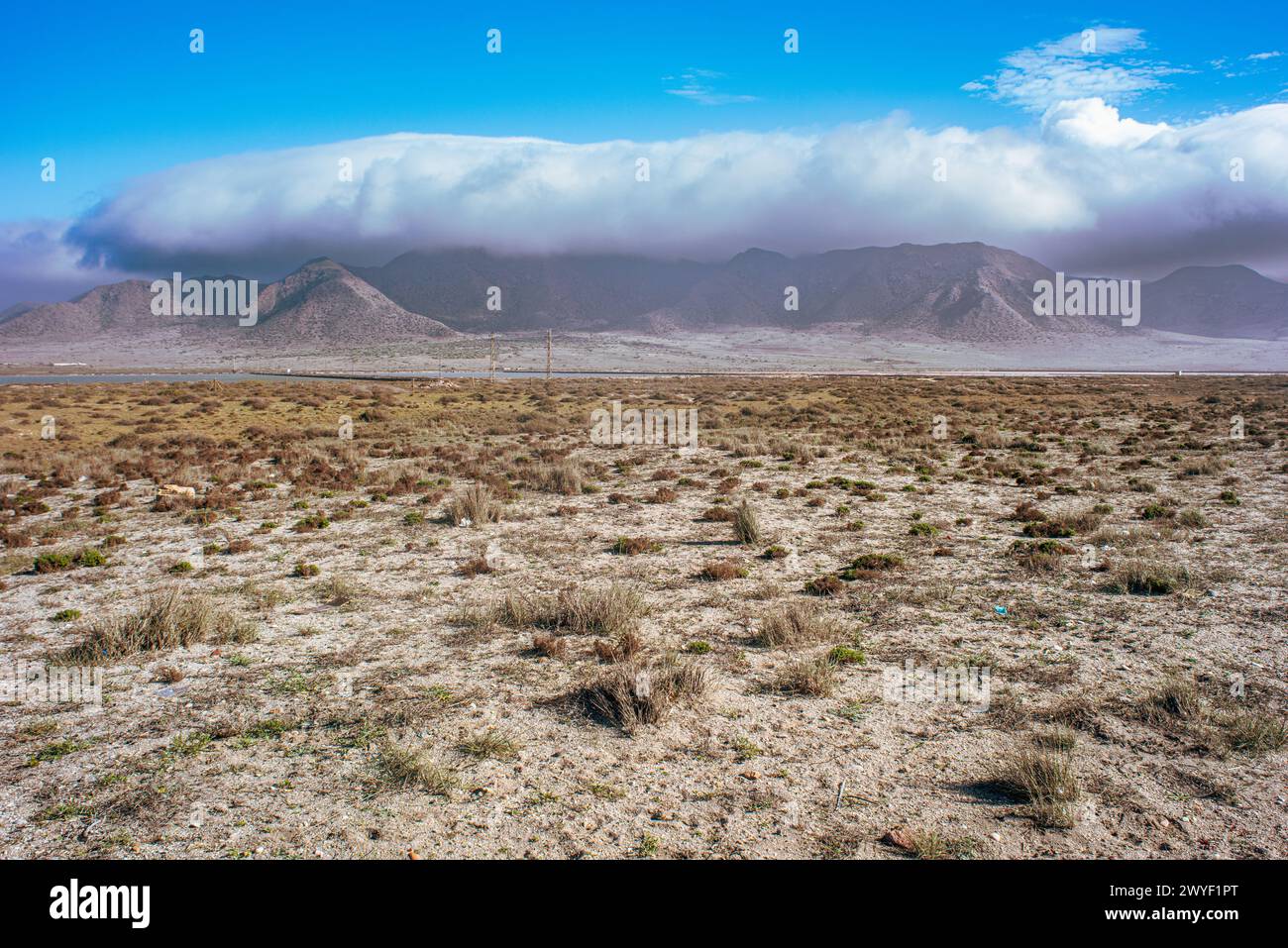 Am frühen Morgen sehen Sie die trockene Landschaft in Cabo de Gata, Andalusien, Spanien, mit weit entfernten Bergen. Stockfoto