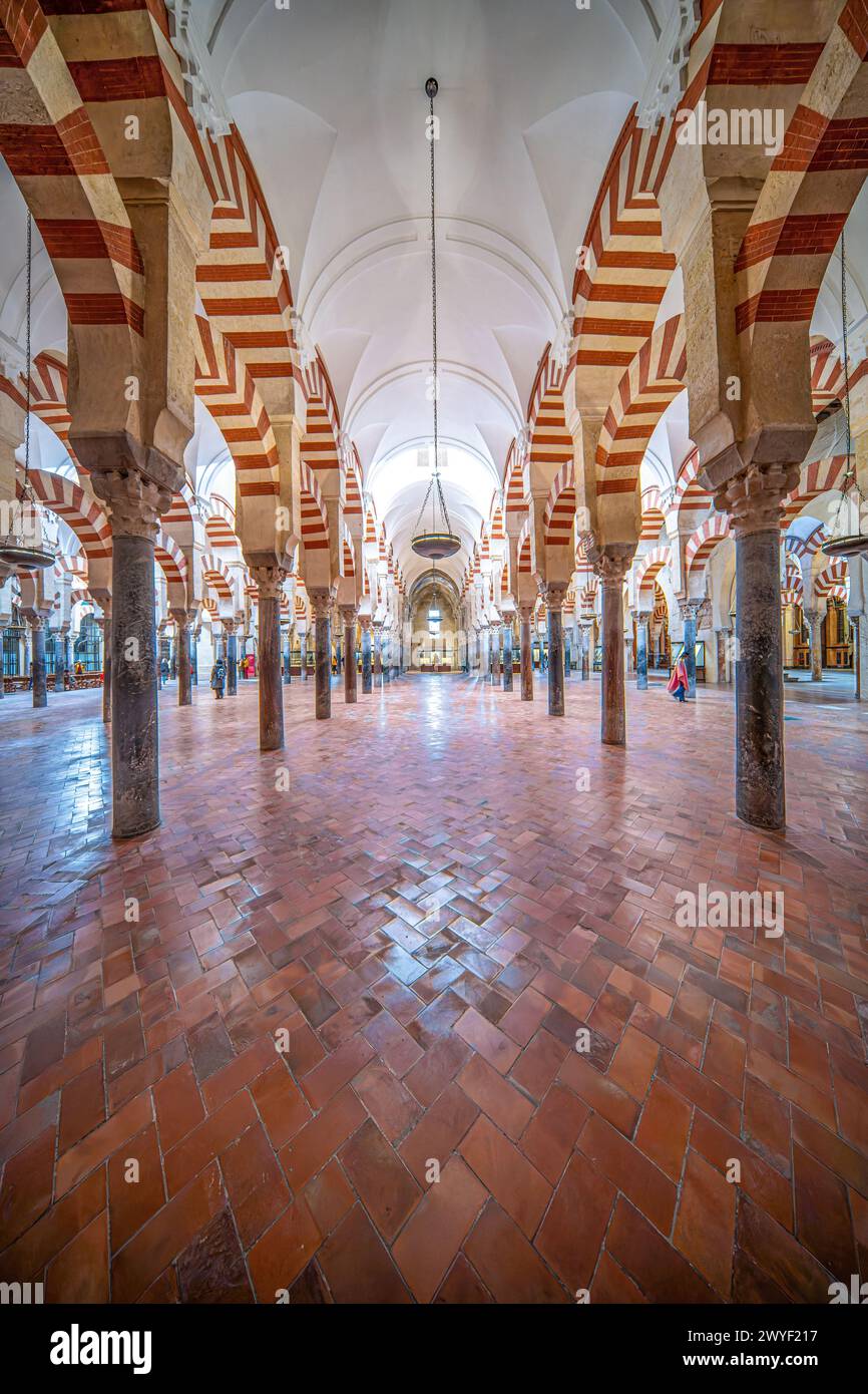 Die berühmten rot-weißen Bögen in der Moschee-Kathedrale von Cordoba. Stockfoto