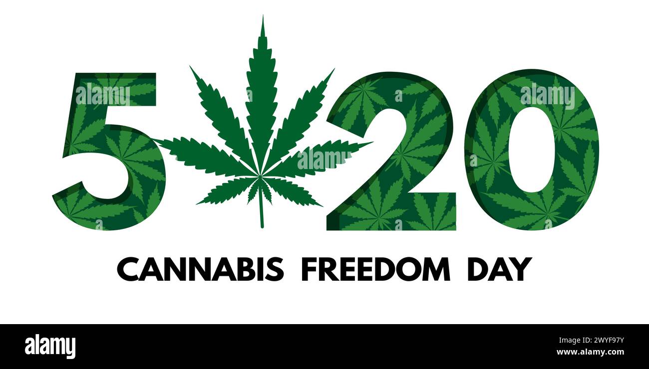 520 Cannabis Freedom Day am 20. Mai. Banner, Kopfzeile, Flyer, Karte oder Poster. Vektorillustration isoliert auf weiß Stock Vektor
