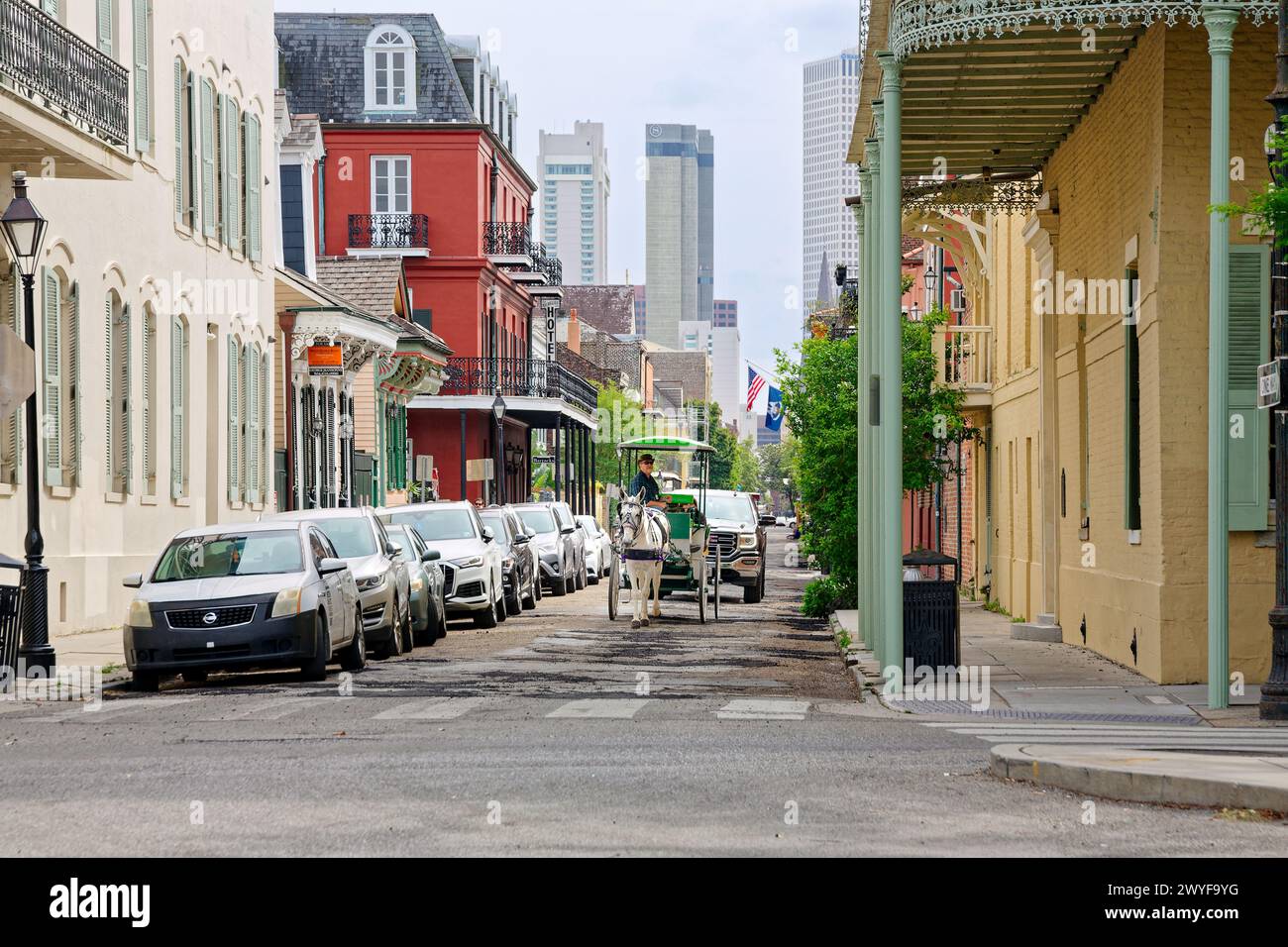 Eine Pferdekutsche führt Besucher durch das French Quarter in New Orleans, Louisiana Stockfoto