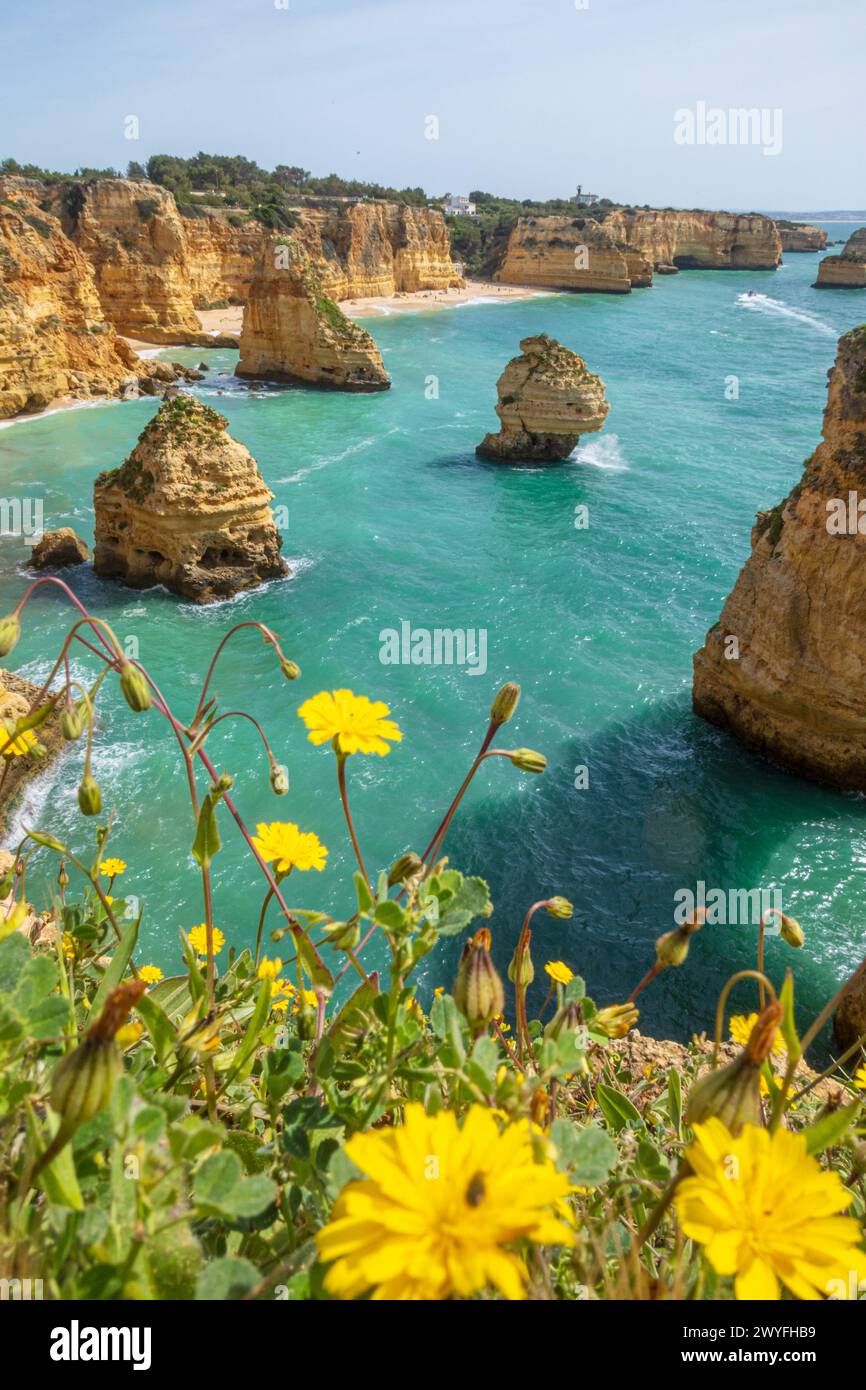 Vertikaler Blick über die Klippen und das Meer in der Nähe der Lagoa in der Algarve, Portugal Stockfoto
