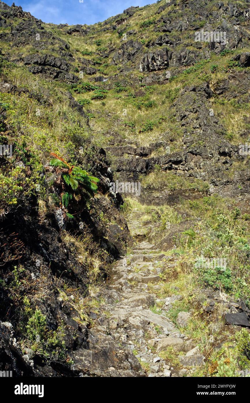 Maui, Hawaii, USA - Haleakala National Park, Haleakala Krater, Halemau'u Trail Aufstieg. Stockfoto