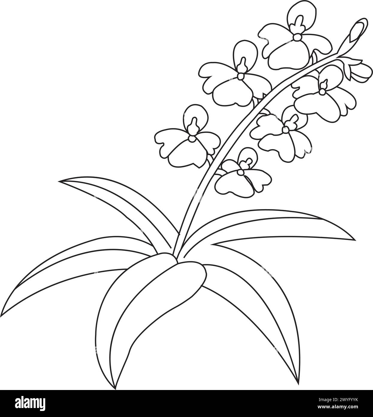 Orchideenblume Icon Vektor Illustration Symbol Design Stock Vektor