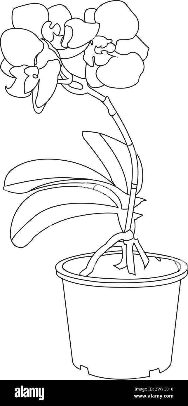 Orchideenblume Icon Vektor Illustration Symbol Design Stock Vektor