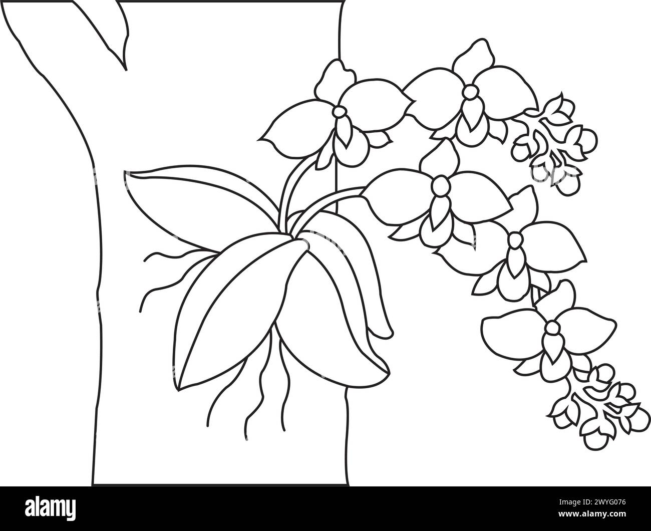 Orchideenblume Icon Vektor Illustration Symbol Design Stock Vektor