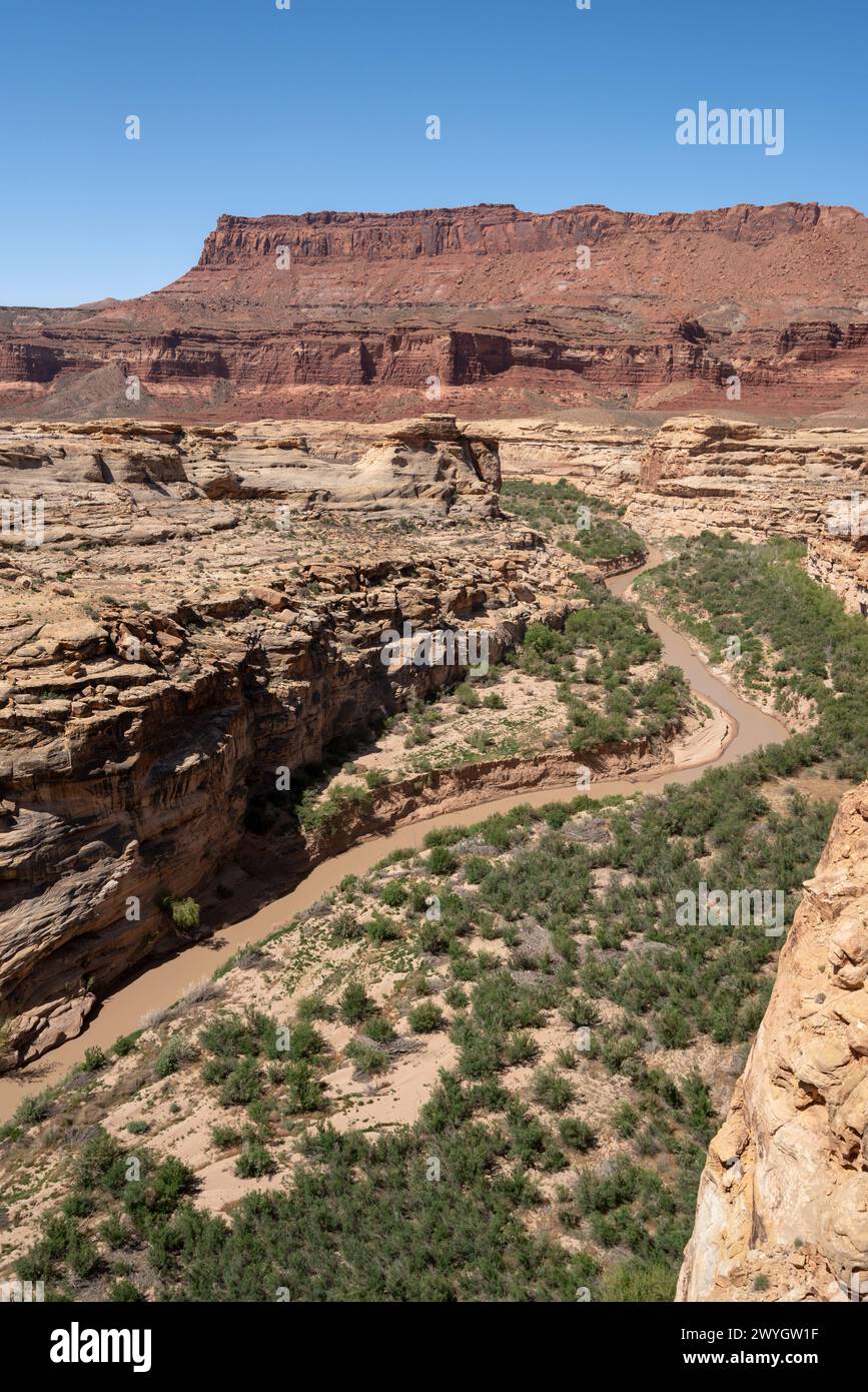 Canyon des Dirty Devil River, der vom Powell Reservoir in Utah eingebettet wurde. Stockfoto