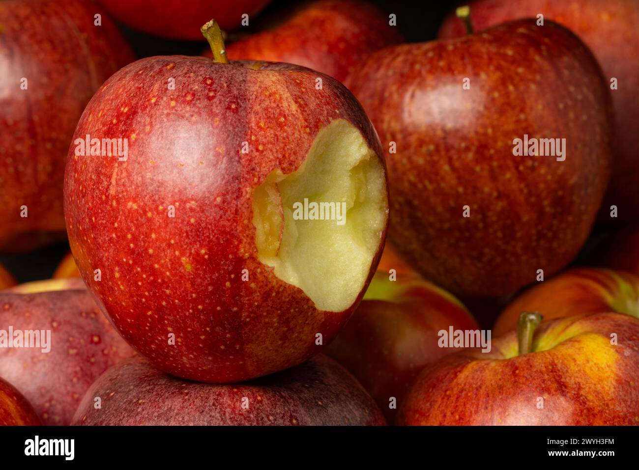 Ein Apfel mit einem Biss, der aus ihm genommen wurde, ist neben anderen Äpfeln. Stockfoto